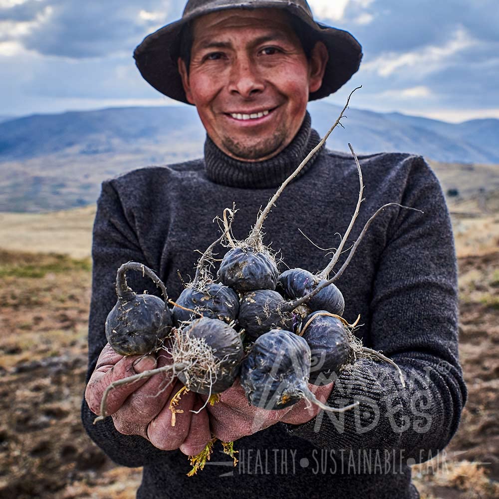 Black Maca Root Capsules l Organic Vegan Pills l 1500mg per Serving l Reproductive Health for Men l Natural Energy Booster l Adaptogen Function l Non GMO and Gluten Free l Amazon Andes - Medaid International