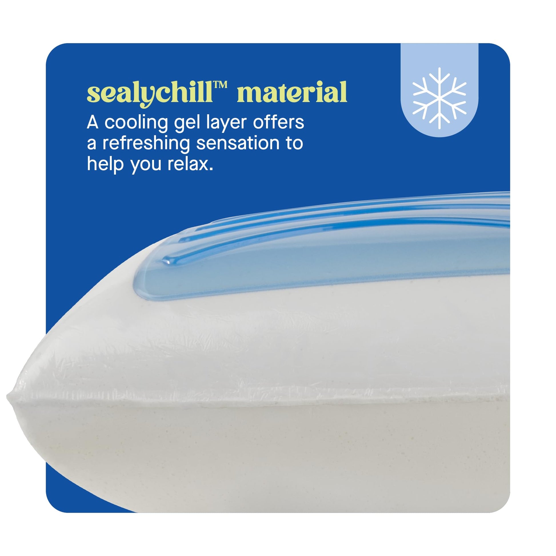 Sealy Dreamlife Memory Foam Gel, King, White Pillow - Medaid International