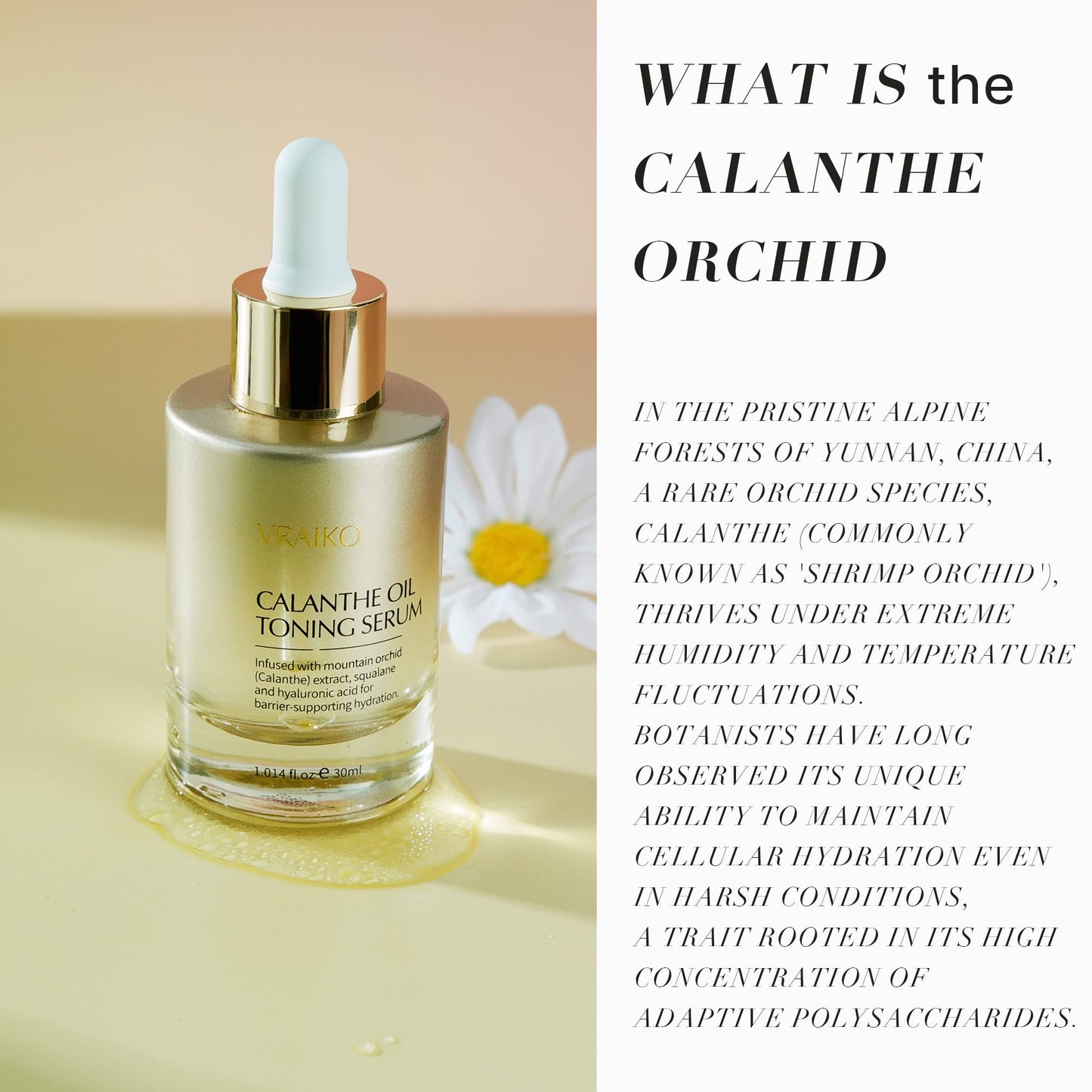 VRAIKO Gua Sha Face Oil Serum | 1st High-Altitude Calanthe Orchid Product | Detox, Plump, Anti-Oxidant, Soothing | Alpine Botanic, Cruelty Free, Natural, 1 fl oz - Medaid International