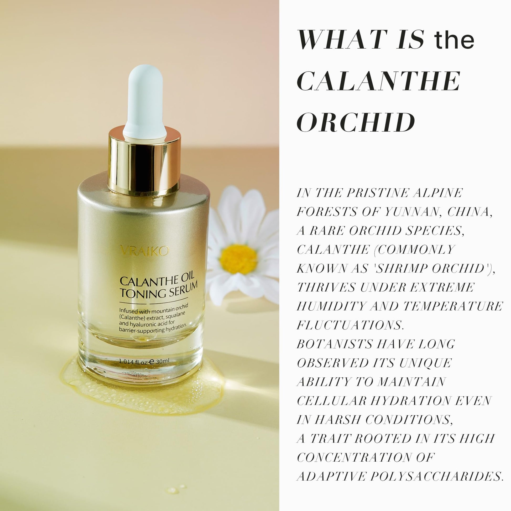 VRAIKO Gua Sha Face Oil Serum | 1st High-Altitude Calanthe Orchid Product | Detox, Plump, Anti-Oxidant, Soothing | Alpine Botanic, Cruelty Free, Natural, 1 fl oz - Medaid International