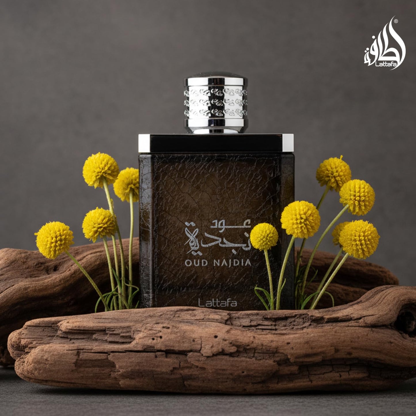 Lattafa Oud Najdia for Men - 3.4 oz EDP Spray - Medaid International