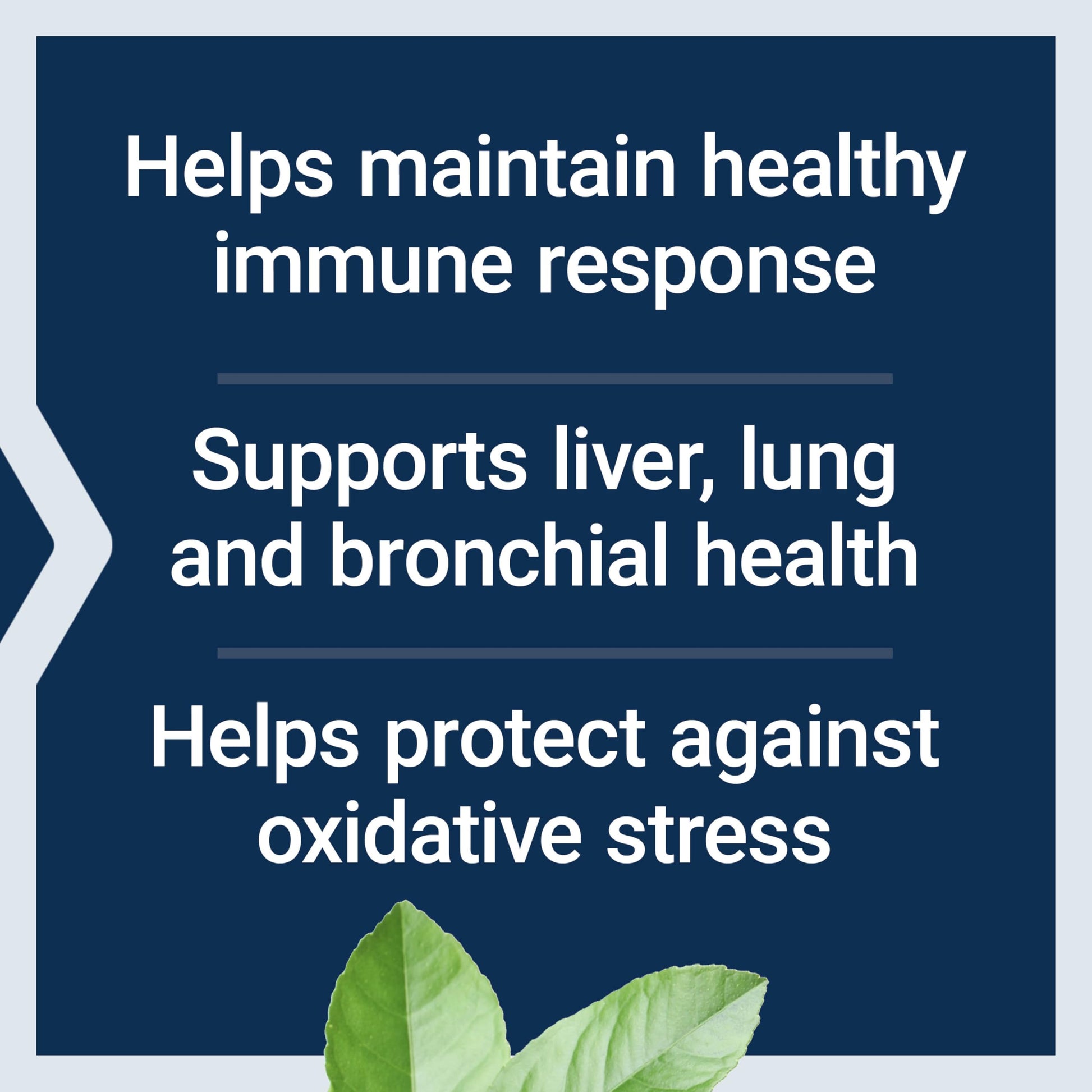 Life Extension N-Acetyl-L-Cysteine (NAC), Immune Response, Respiratory Health, Liver Health, NAC 600 mg, antioxidant Defense, Free radicals, Easy to Absorb, 60 Capsules - Medaid International