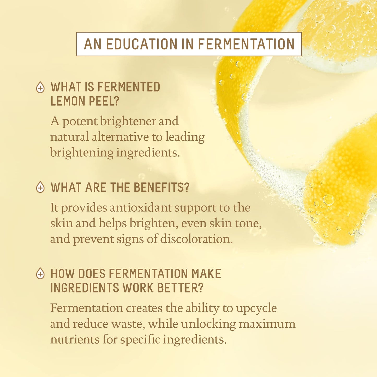 BIOSSANCE Squalane + Vitamin C Rose Face Moisturizer – Antioxidant-Rich Day/Night Face Lotion – Hydrates and Smooths Fine Lines – Even Skin Tone & Reduce Discoloration – For Radiant Skin, 1.69 Fl Oz - Medaid International