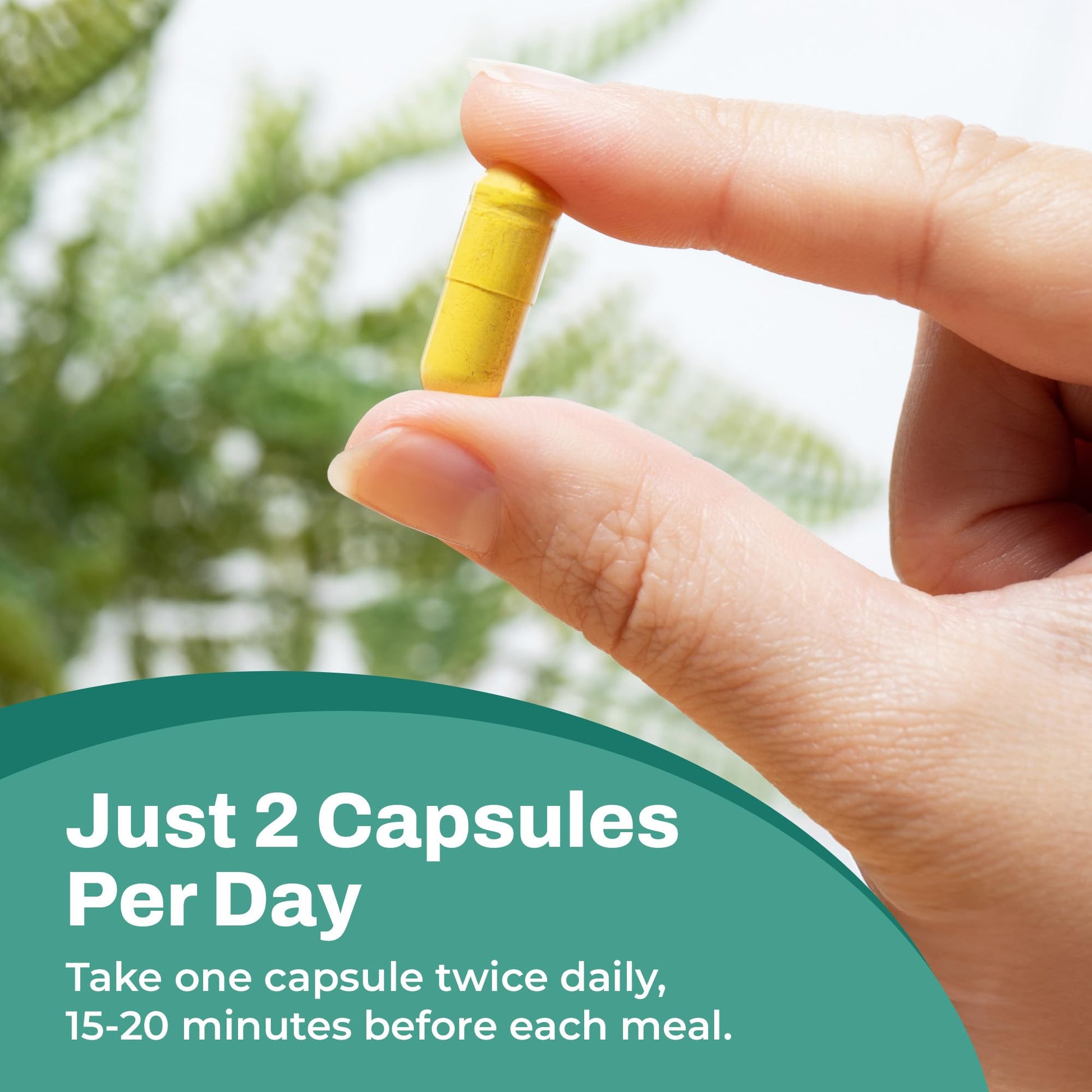 Aja Nutrition Berberine Plus – Triple Action Metabolic Support Supplement with Berberine HCl 500mg, Bitter Melon & Banaba Leaf – 1250mg Herbal Actives – Energy & Digestive Support – 60 Vegan Capsules - Medaid International