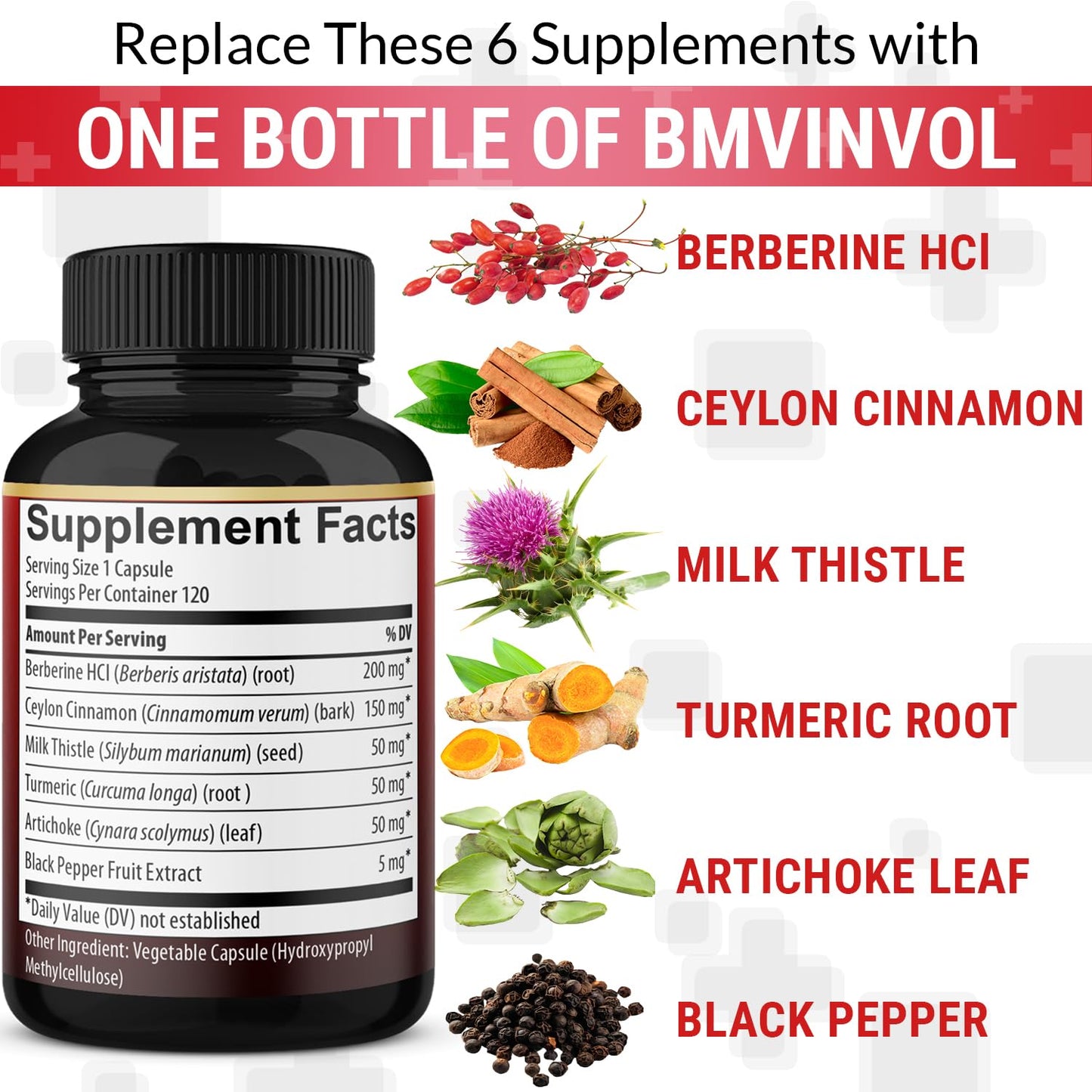 Berberine, Ceylon Cinnamon, Turmeric, Milk Thistle, Artichoke, Black Pepper - 120 Capsules for Digestion, Immunity [4-Month Supply] - Medaid International