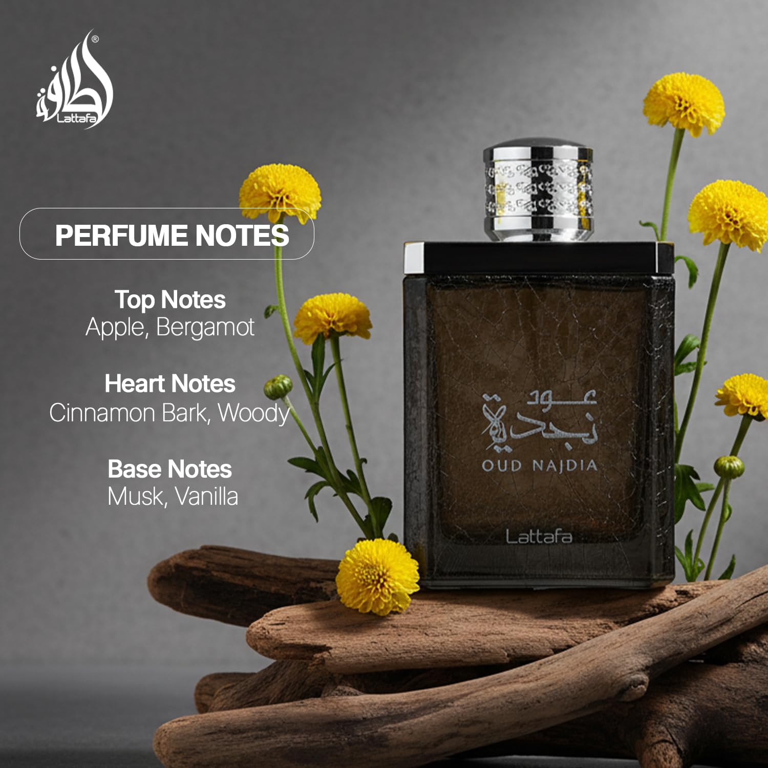 Lattafa Oud Najdia for Men - 3.4 oz EDP Spray - Medaid International
