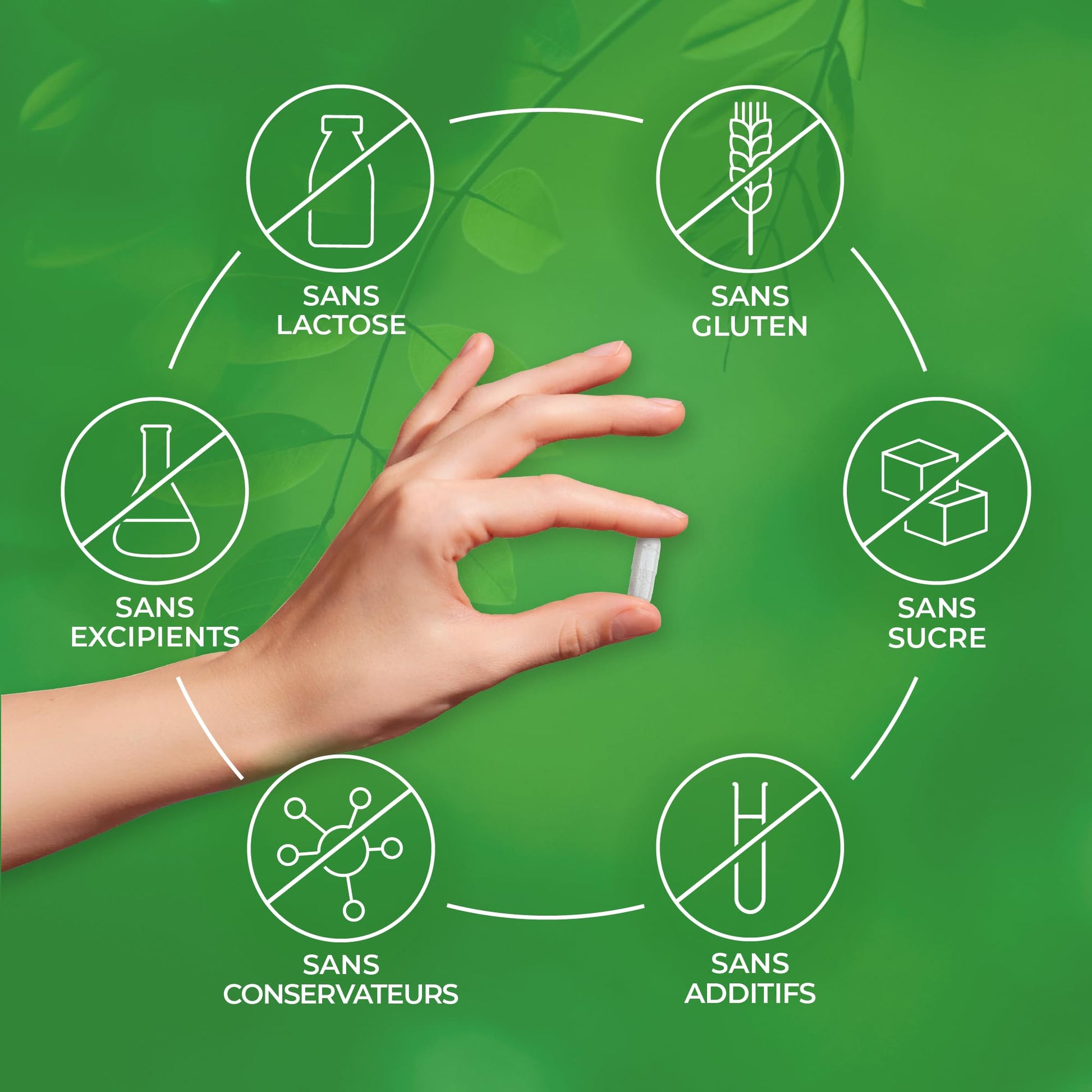 Biophénix Hépatic biologique 90 gélules - Complément alimentaire BIO 100% naturel à base de végétaux - Favorise les fonctions du foie - Medaid International