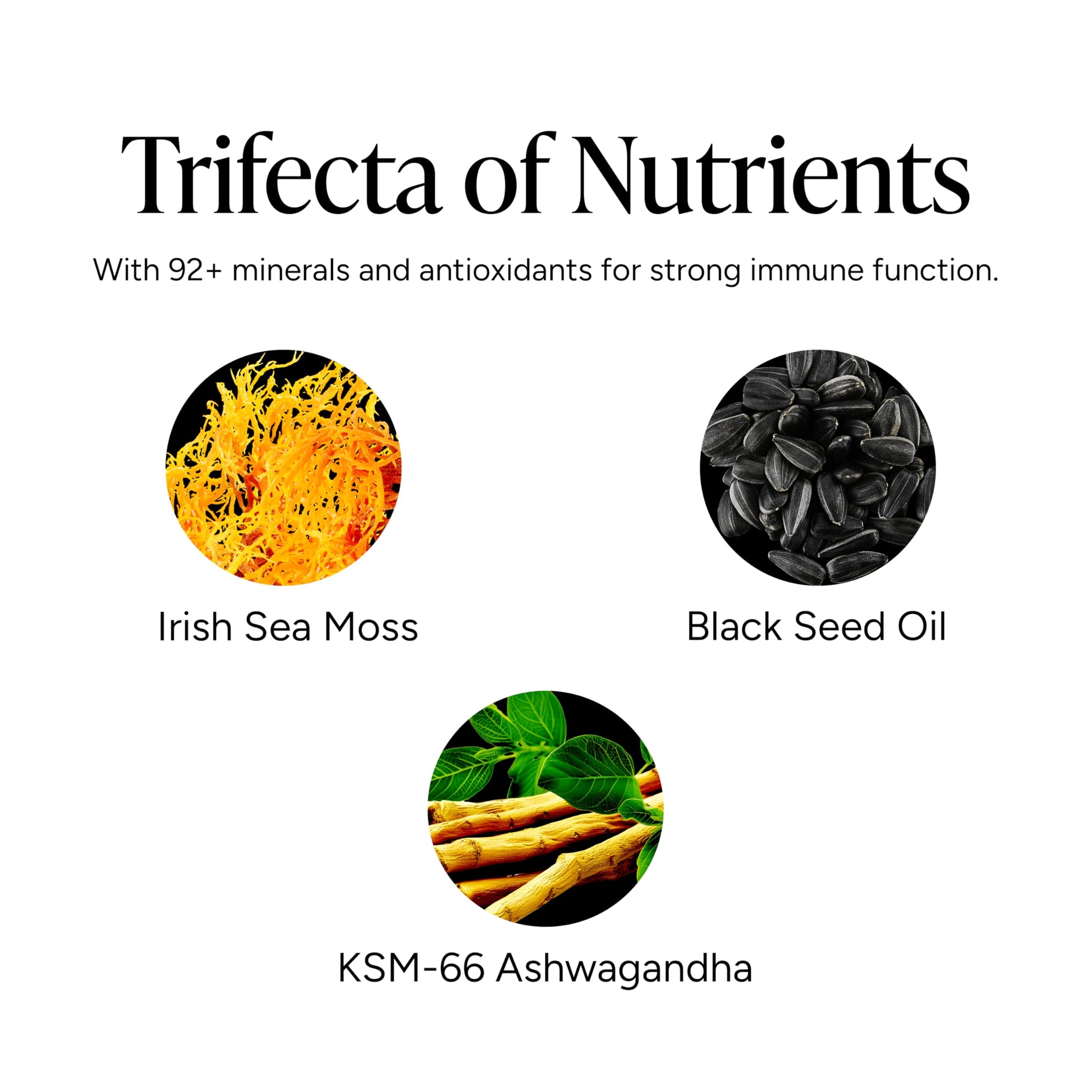ROOT LABS 10 in 1 Alpha & Sea Moss Gummies Combo I 4000 mg Shilajit, 1600 mg Sea Moss I Lab Tested I No Added Sugar | 75%+ Fulvic Acid, 92+ Minerals I KSM 66 Ashwagandha I 1 Month Pack - Medaid International
