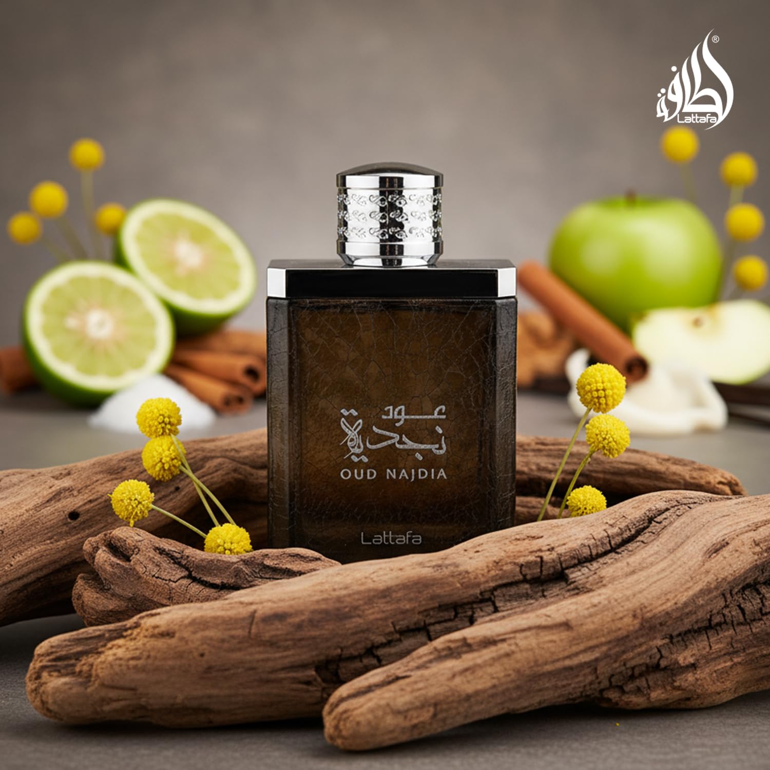 Lattafa Oud Najdia for Men - 3.4 oz EDP Spray - Medaid International