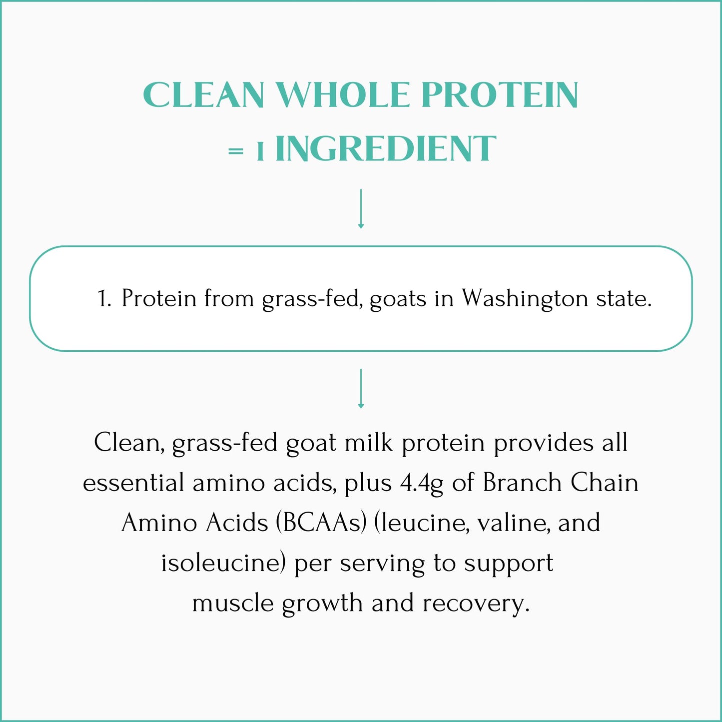 Mt. Capra Clean Whole Protein | Grass-Fed Goat Protein with Whey and Casein Protein | No Bloat, Build and Maintain Muscle, 20 g Protein per Serving, No Sweeteners | 13 Servings - 400 g - Medaid International
