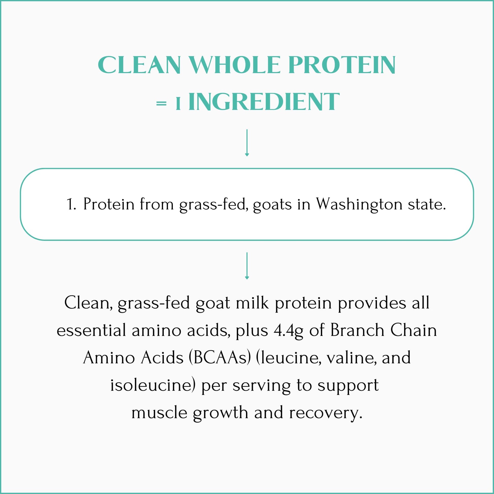 Mt. Capra Clean Whole Protein | Grass-Fed Goat Protein with Whey and Casein Protein | No Bloat, Build and Maintain Muscle, 20 g Protein per Serving, No Sweeteners | 13 Servings - 400 g - Medaid International