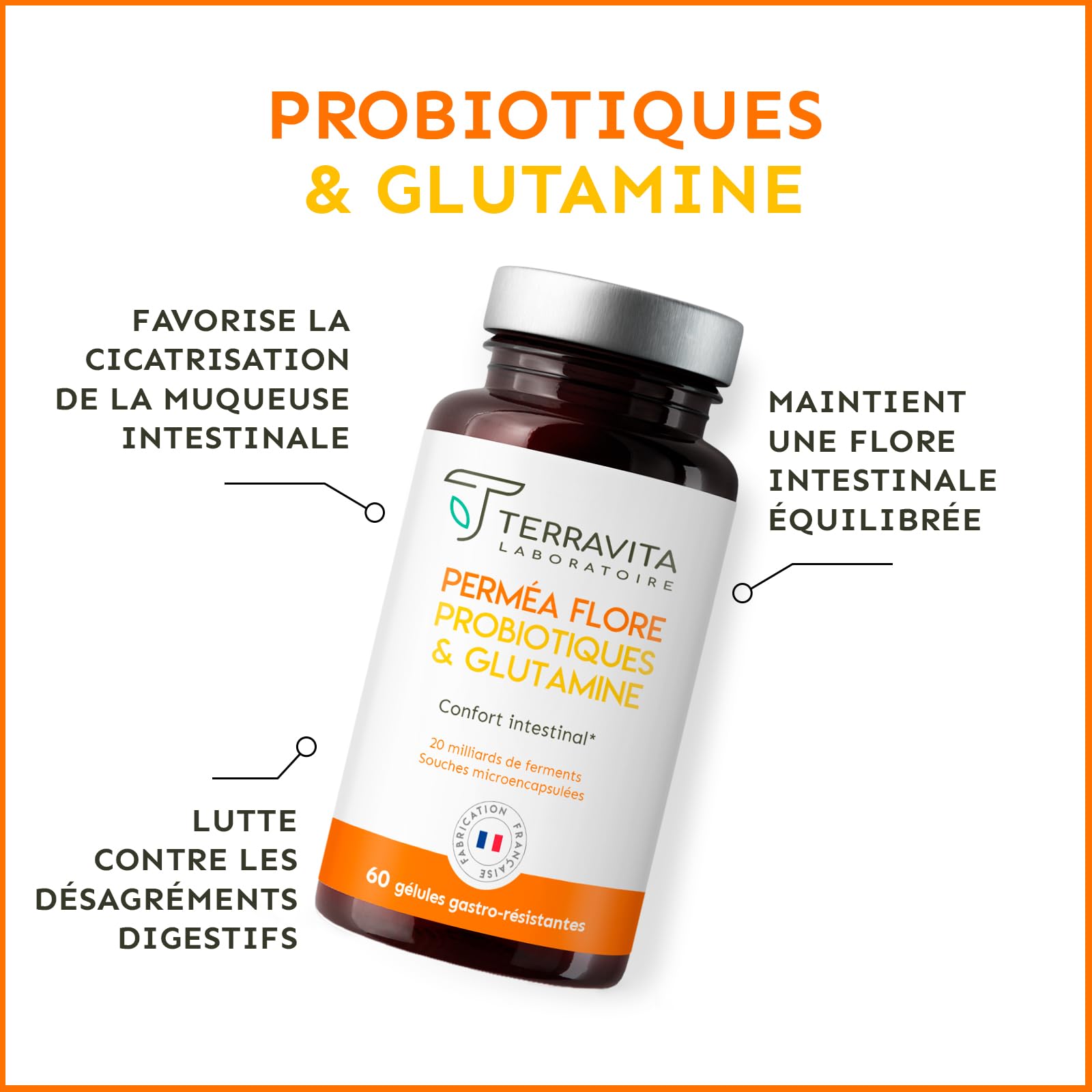 Permea Flore | PROBIOTIQUES + GLUTAMINE | Flore Intestinale et Cicatrisation de la Muqueuse | Idéal Contre la Perméabilité Intestinale | 60 Gélules Gastro-résistantes | Made in France | Terravita - Medaid International