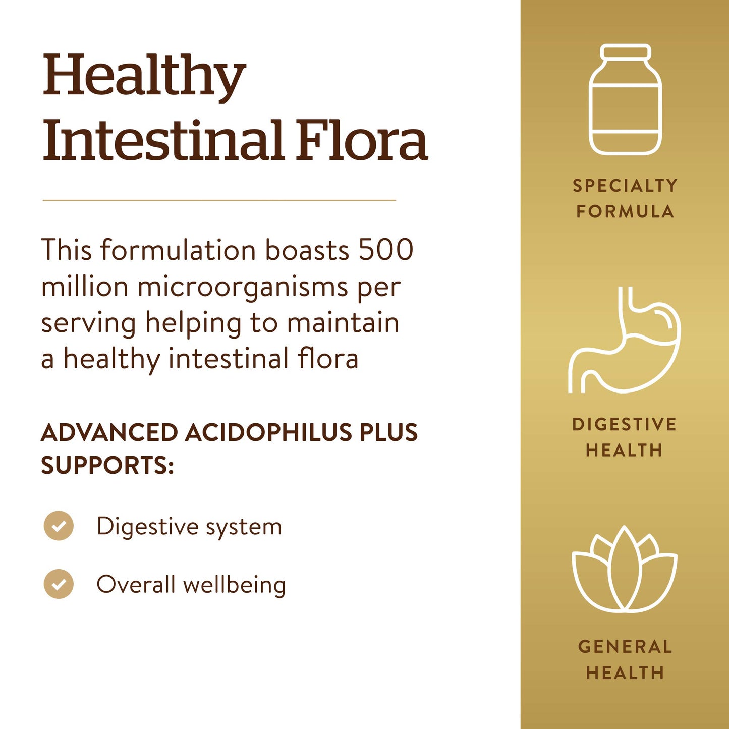 Solgar Advanced Acidophilus, 100 Vegetable Capsules - Supports Healthy Intestinal Flora - 500 Million Microorganisms Per Serving - Gluten & Dairy Free - Vegetarian - 100 Servings - Medaid International