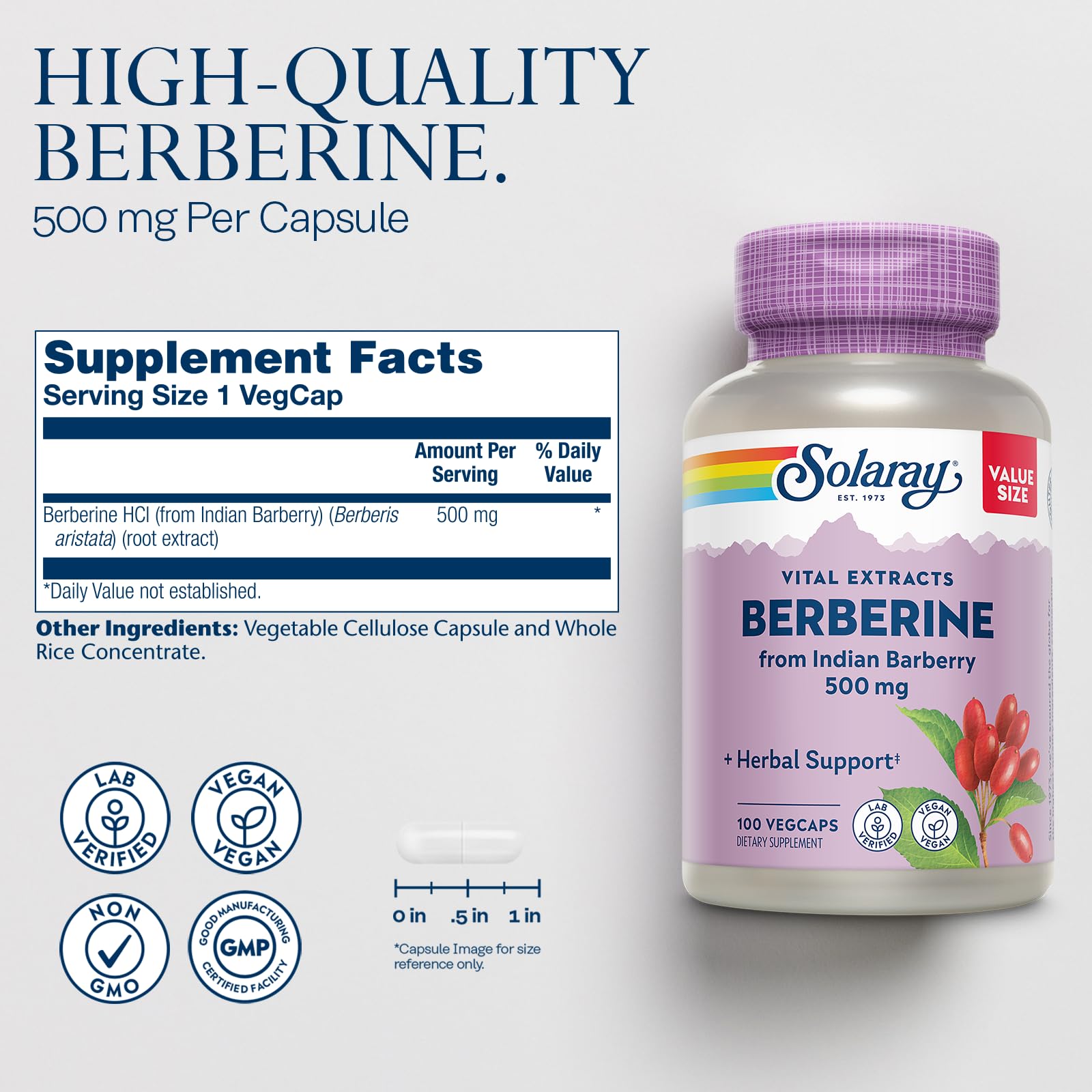 SOLARAY Berberine 500mg - Berberine Supplement for a Healthy, Active Lifestyle - with Berberine HCl from Indian Barberry - Vegan, Non-GMO, 60-Day Guarantee, Lab Verified - 100 Servings, 100 VegCaps - Medaid International