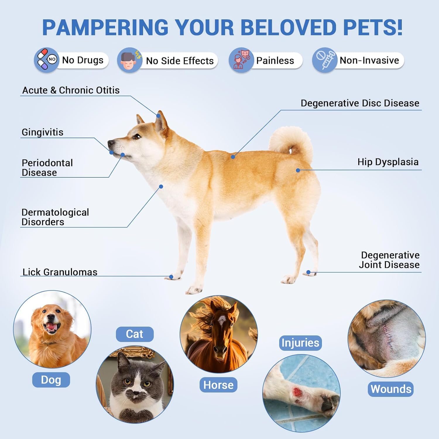Cold Laser Therapy Device for Human & Pet with Stand & LED Display(4 x 808 nm +14 x 650 nm), Handheld Red Light Therapy Devices, Red Light Therapy Wand for Joint Muscle Pain Relief - Medaid International