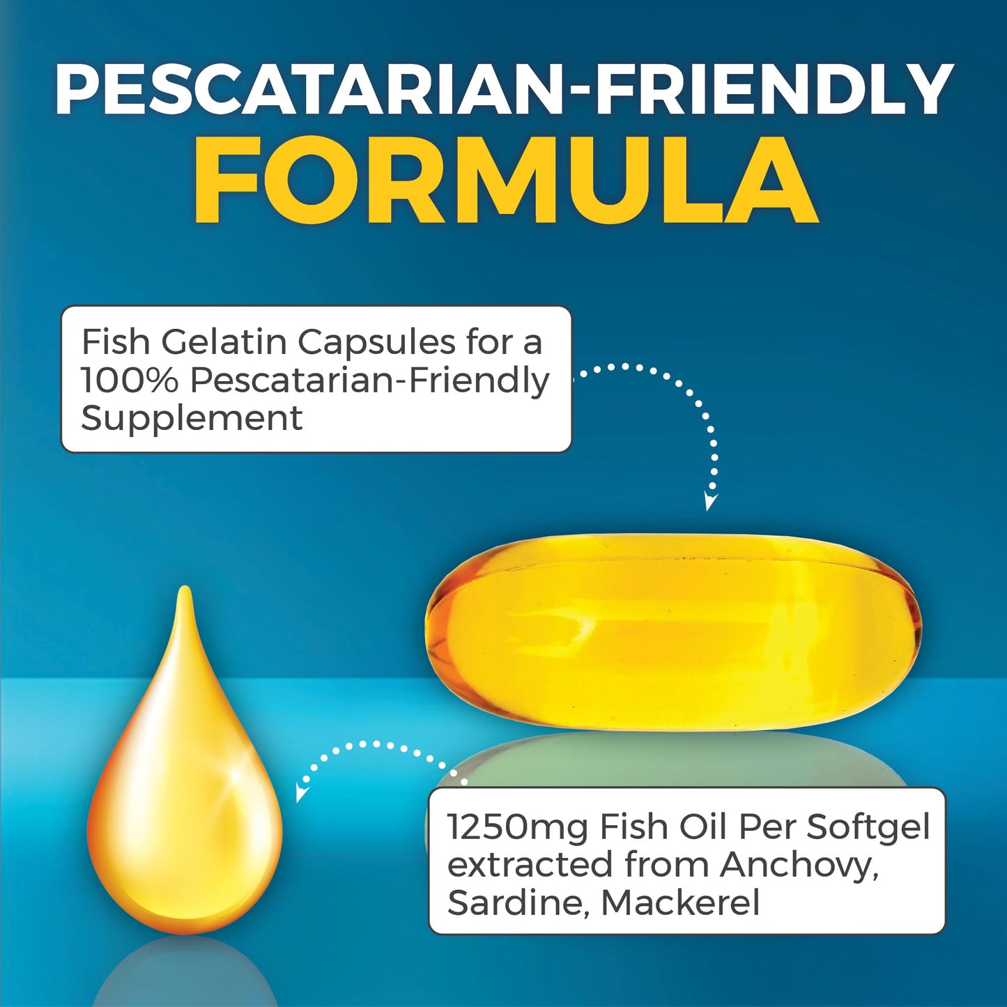 Viva Naturals Omega-3 Fish Oil, Triple Strength, 2500 mg, 60 Softgels – Re-Esterified Omega 3 Fatty Acids Including EPA, DHA, DPA - Pascatarian-Friendly - Medaid International