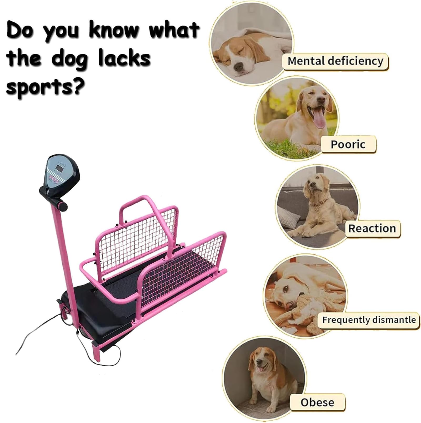 Dog Treadmill for Large Dogs, Pet Running Machine with LED Display Screen, 1-6 Km/h Speed Adjustable and 80kg Load-Bearing Capacity, Multiple Modes Display and Easy To Assemble, for Home, Garage - Medaid International