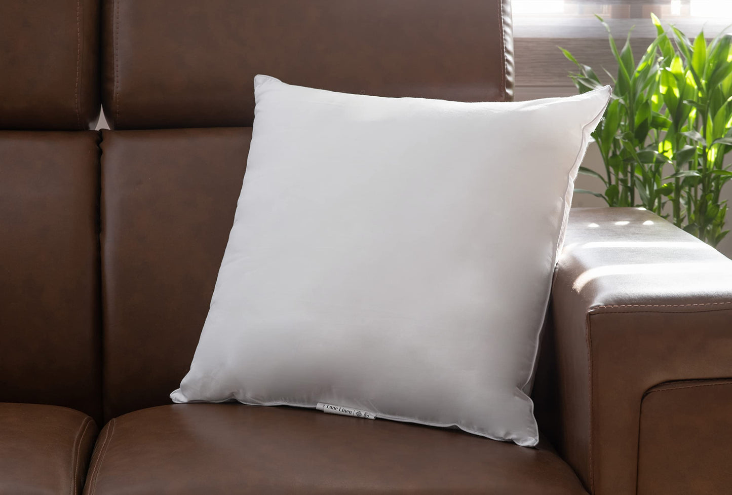 LANE LINEN 22x22 Pillow Insert - Pack of 2 White Decorative Pillow for Sofa Bed, Fluffy Inserts for Throw Pillows Covers for Bed,Euro Couch Pillows for Living Room - Medaid International