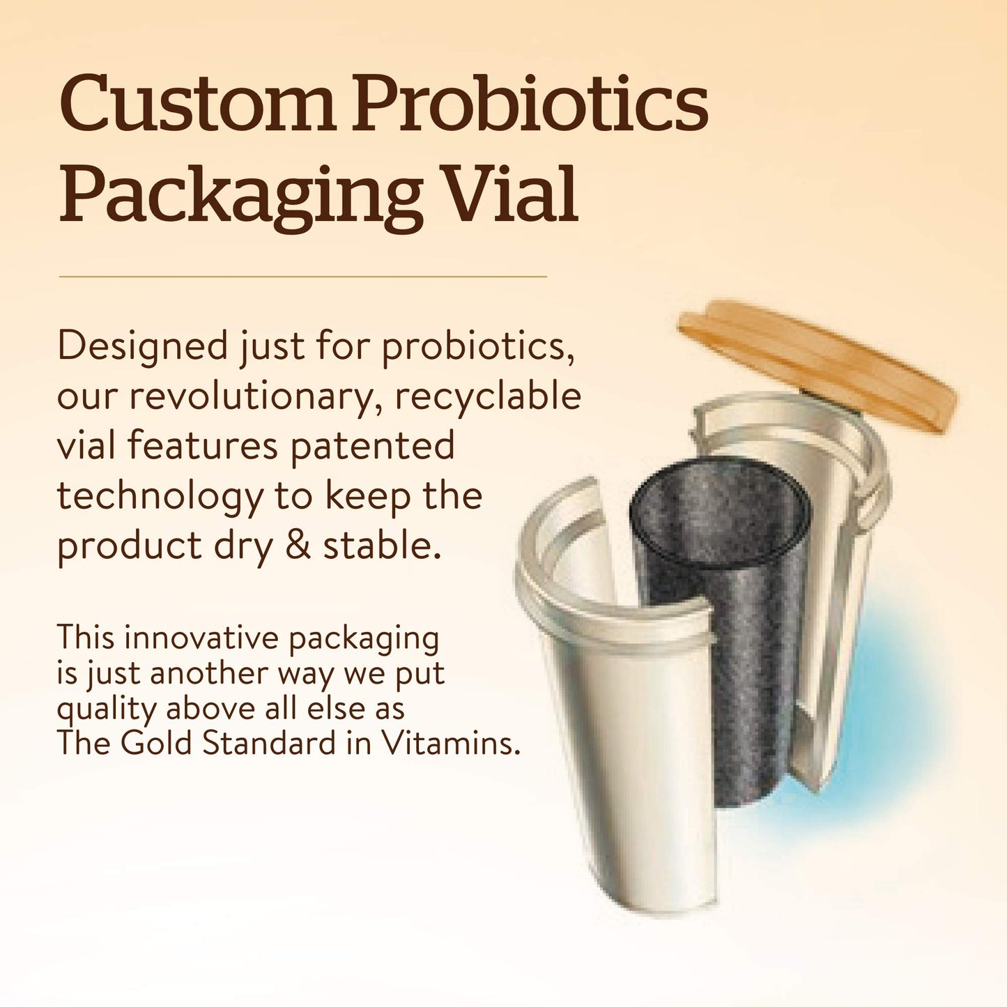 Solgar Advanced Acidophilus, 100 Vegetable Capsules - Supports Healthy Intestinal Flora - 500 Million Microorganisms Per Serving - Gluten & Dairy Free - Vegetarian - 100 Servings - Medaid International