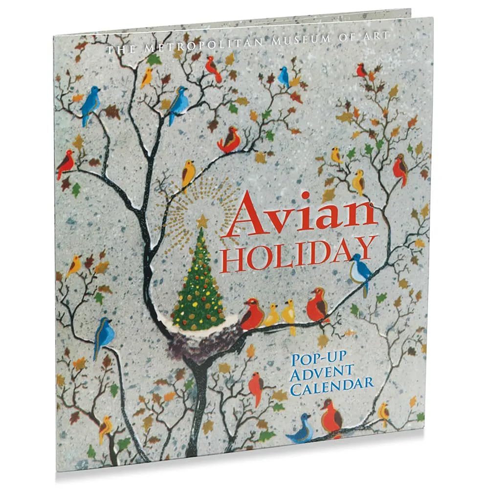 Advent Calendars for Adults, Kids, Women, Men, Xmas Countdown, Family Christmas Games Xmas Crafts Activities Holiday Party Ideas Gifts for Bird Lovers - Medaid International