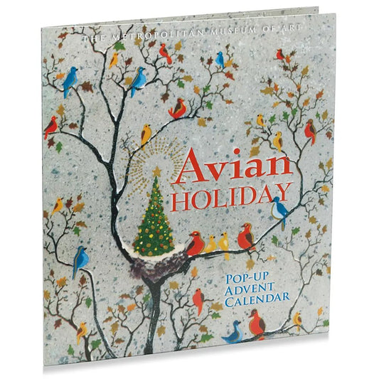 Advent Calendars for Adults, Kids, Women, Men, Xmas Countdown, Family Christmas Games Xmas Crafts Activities Holiday Party Ideas Gifts for Bird Lovers - Medaid International