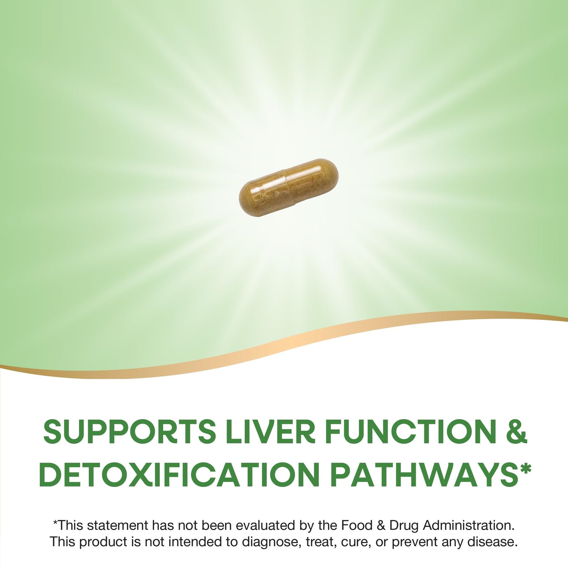 Nature's Way Milk Thistle, Supports Liver Function & Detox Pathways*, 175 mg Milk Thistle Seed Extract Standardized to 80% Silymarin per Serving, Vegan, 60 Capsules (Packaging May Vary) - Medaid International