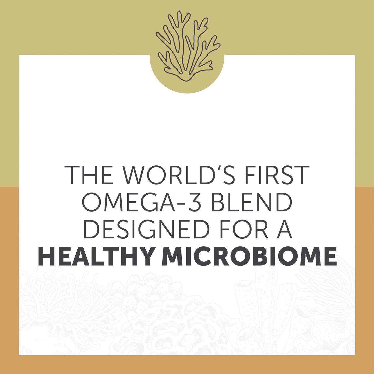 Enzymedica Aqua Biome Maximum Strength Omega 3 Fish Oil, 60 Softgels - Medaid International