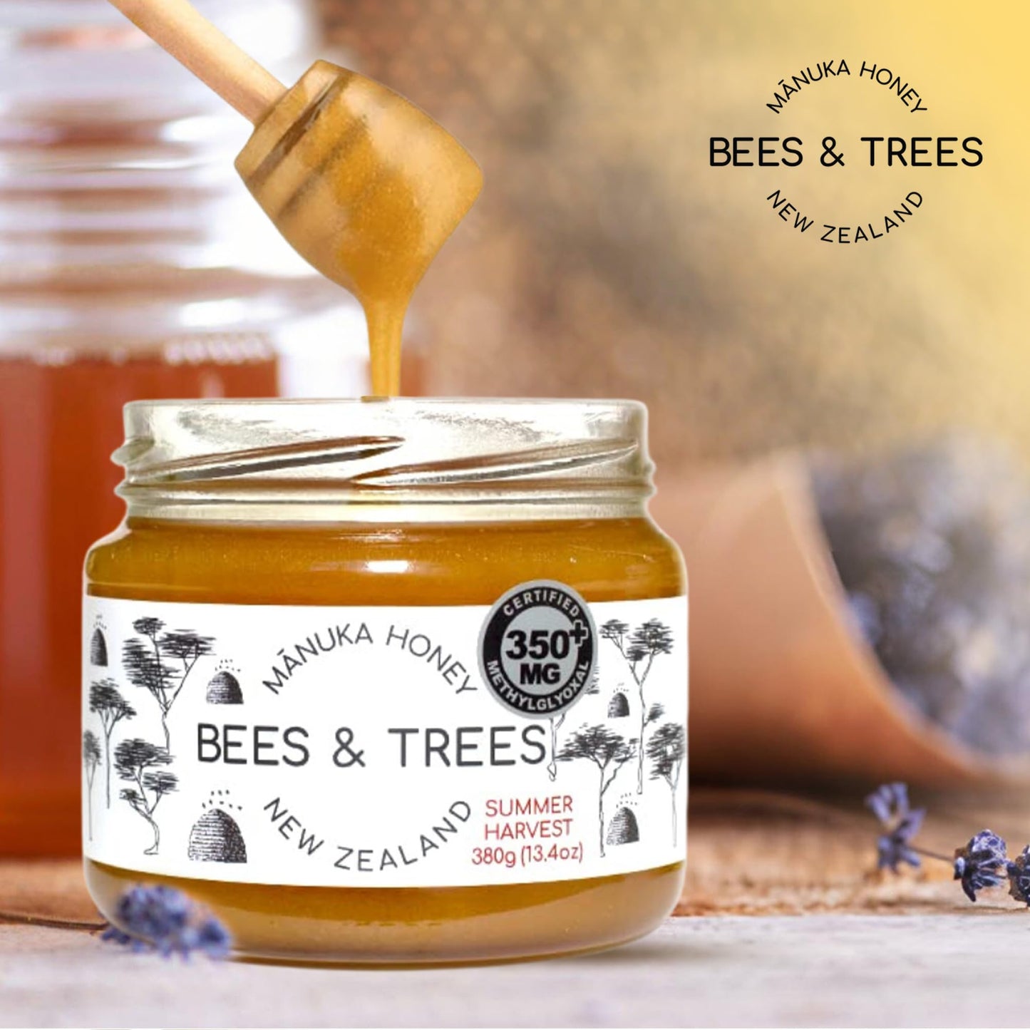 Bees & Trees Manuka Honey 350+ MGO – Pure New Zealand Raw Monofloral Honey – Unpasteurized & Natural – 380g (13.4oz) Glass Jar – Perfect for Coffee, Tea & Daily Wellness - Medaid International