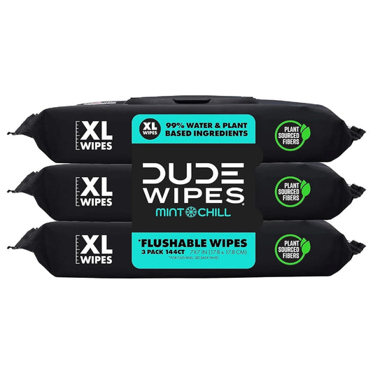 DUDE Wipes - Flushable Wipes - 3 Pack, 144 Wipes - Mint Chill Extra-Large Adult Wet Wipes - Vitamin-E, Aloe, Eucalyptus & Tea Tree Oils - Septic and Sewer Safe - Medaid - Lebanon