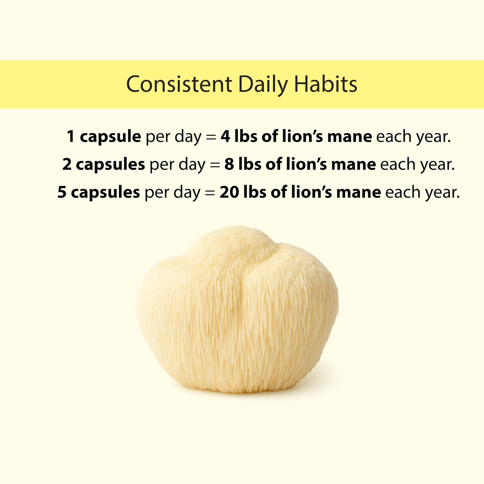 KOYAH Organic Lion's Mane Capsules - USA Grown, 100% Fruiting Body, Freeze-Dried, 3rd Party Tested for Beta-Glucans, 500 mg, Non-GMO, Vegan. Brain & Nerve Support. Immune Support. 60 Capsules - Medaid International