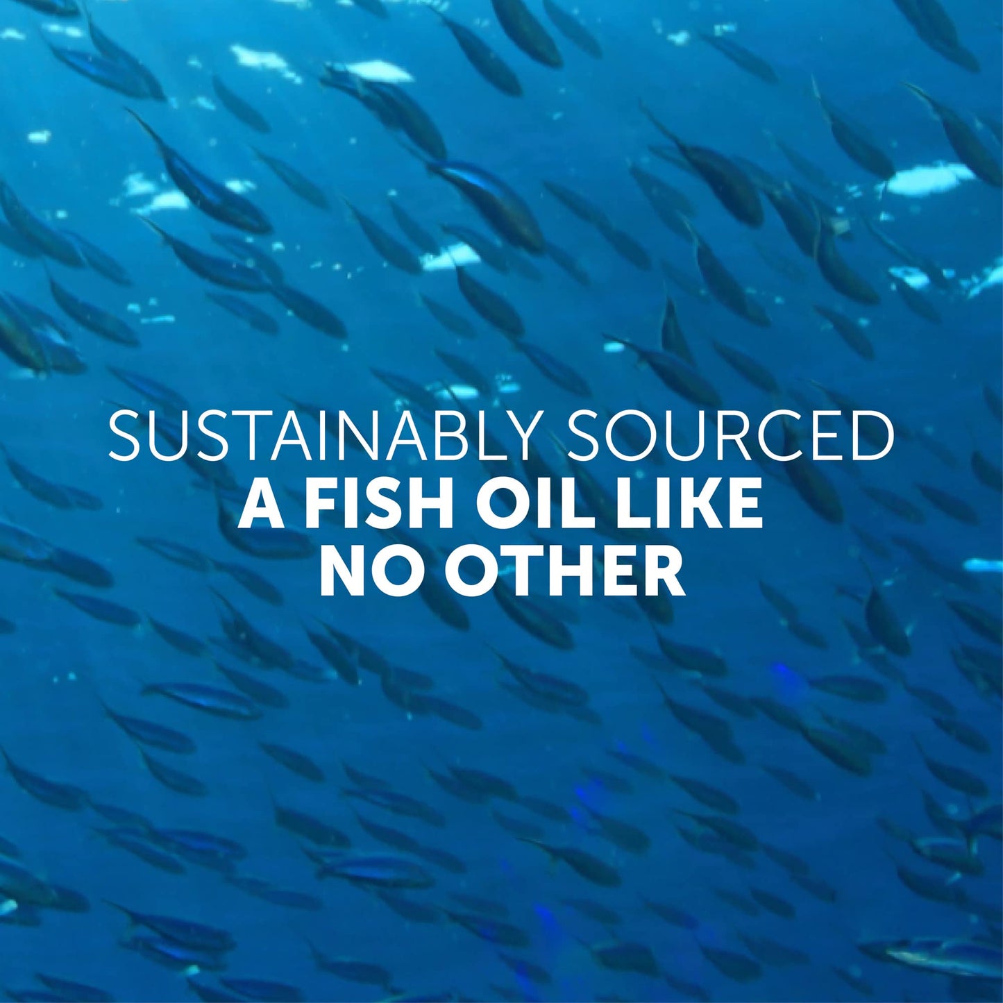 Enzymedica Aqua Biome Maximum Strength Omega 3 Fish Oil, 60 Softgels - Medaid International