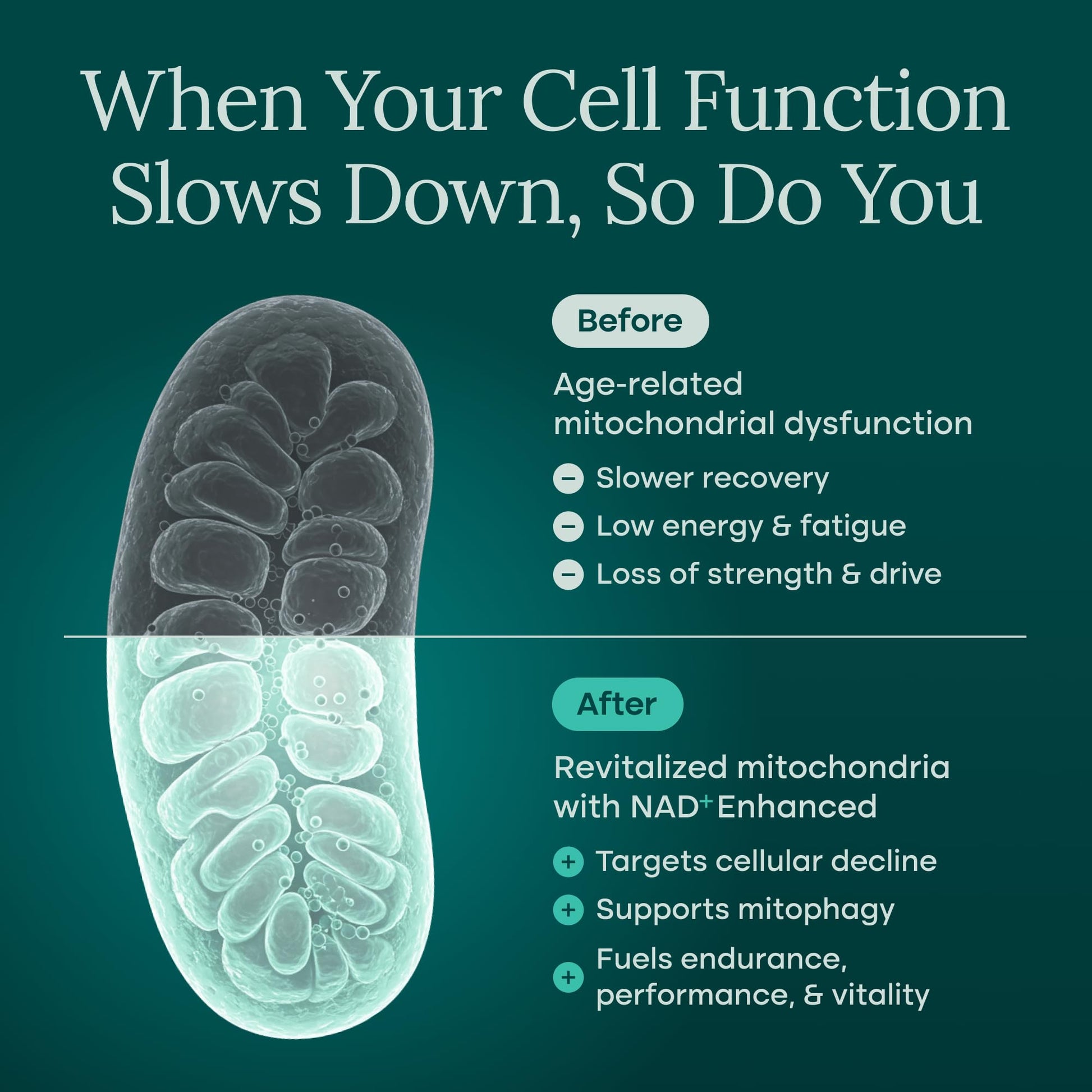 Liposomal NAD+ Supplement 500mg with Urolithin A, CoQ10, Resveratrol & Giloy (Made in USA), NAD Supplement for Cellular Energy, Cognitive, Anti-Aging & Detox Support - 3rd Party Tested Vegan, Non-GMO - Medaid International