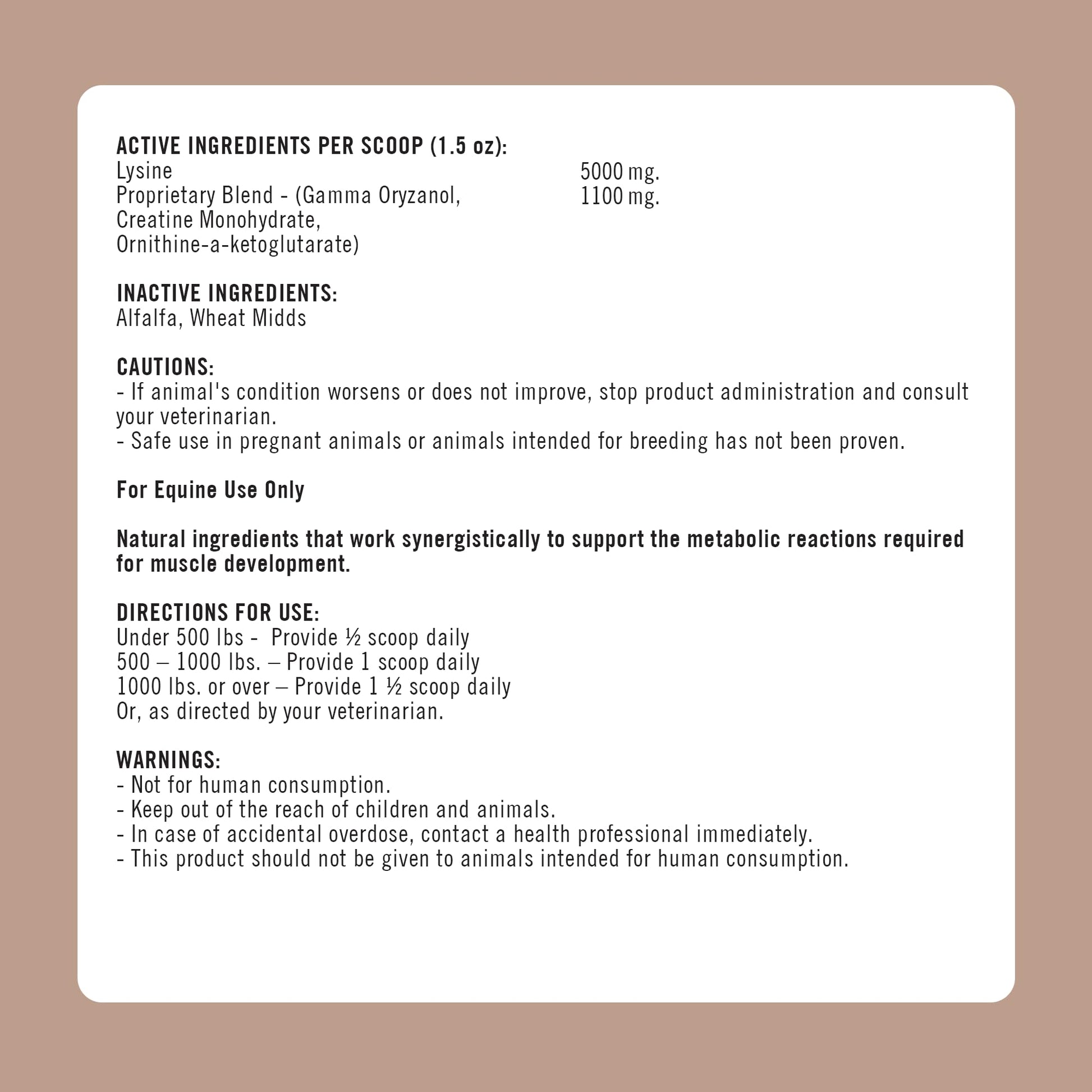 Formula 707 MuscleMx Equine Supplement, 10 lb Bag – Conditioning Support and Muscle Builder for Horses with Lysine, Gamma Oryzanol, Creatine & OKG - Medaid International