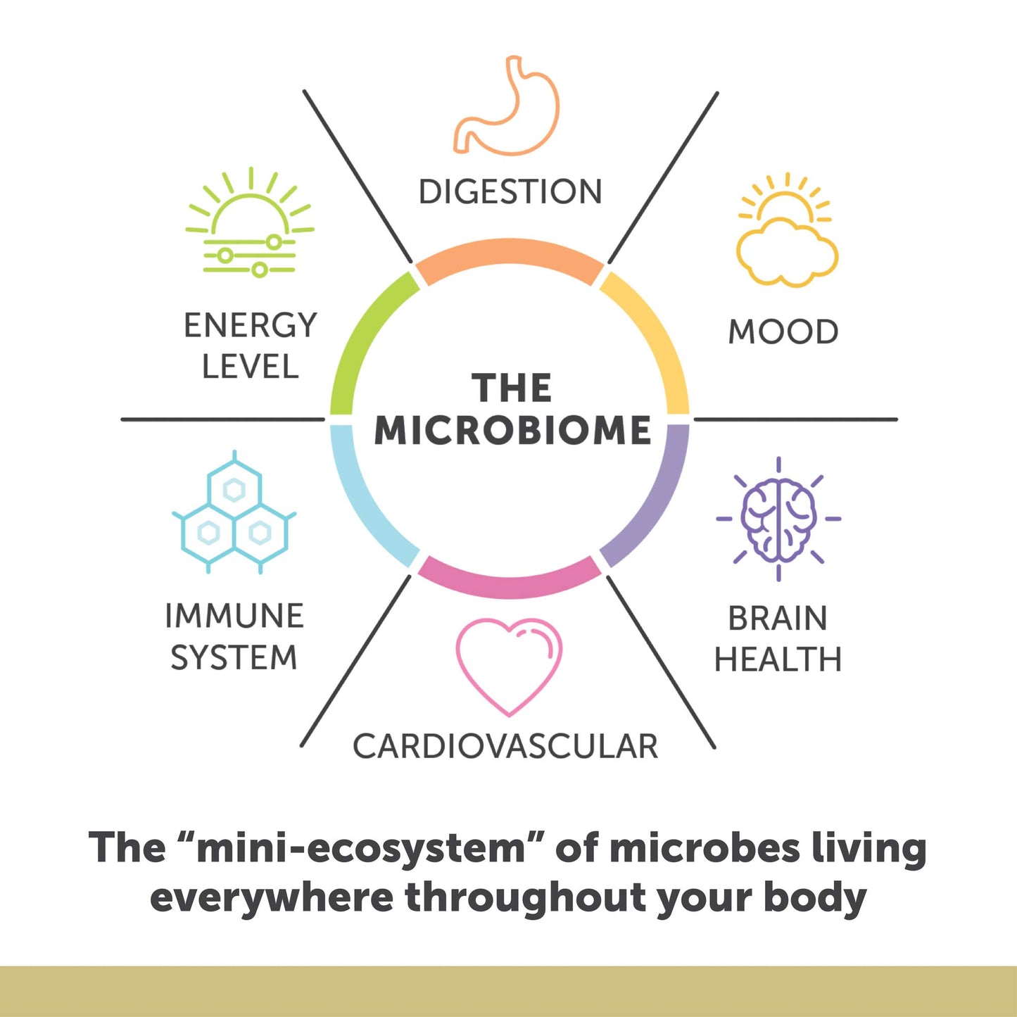 Enzymedica Aqua Biome Maximum Strength Omega 3 Fish Oil, 60 Softgels - Medaid International