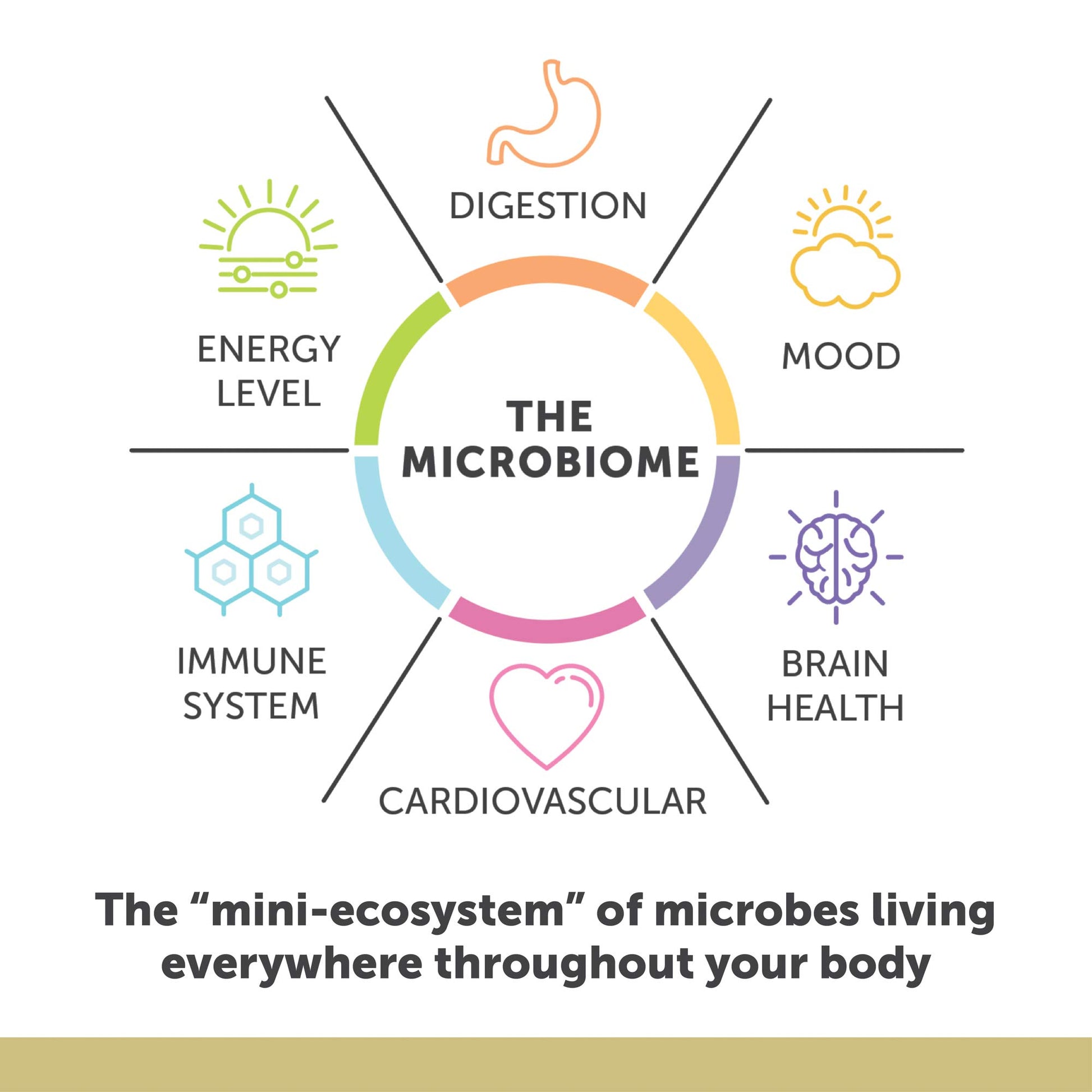 Enzymedica Aqua Biome Maximum Strength Omega 3 Fish Oil, 60 Softgels - Medaid International