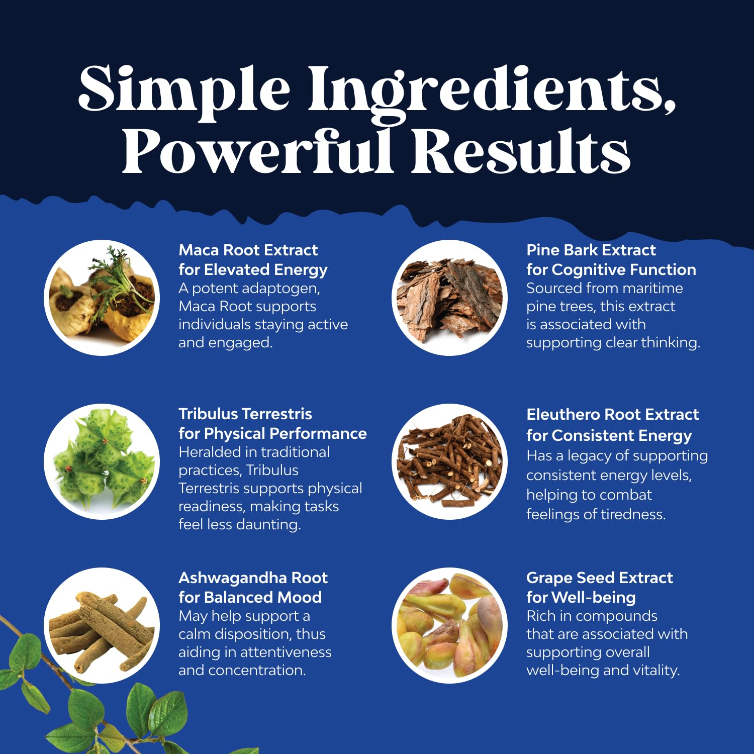 Bundle of Horny Goat Weed for Men with Black Maca Root, Tongkat Ali, Saw Palmetto & Panax Ginseng Extract and Potent Black Maca Root Capsules - Men's Wellness Supplement to Support General Health - Medaid International