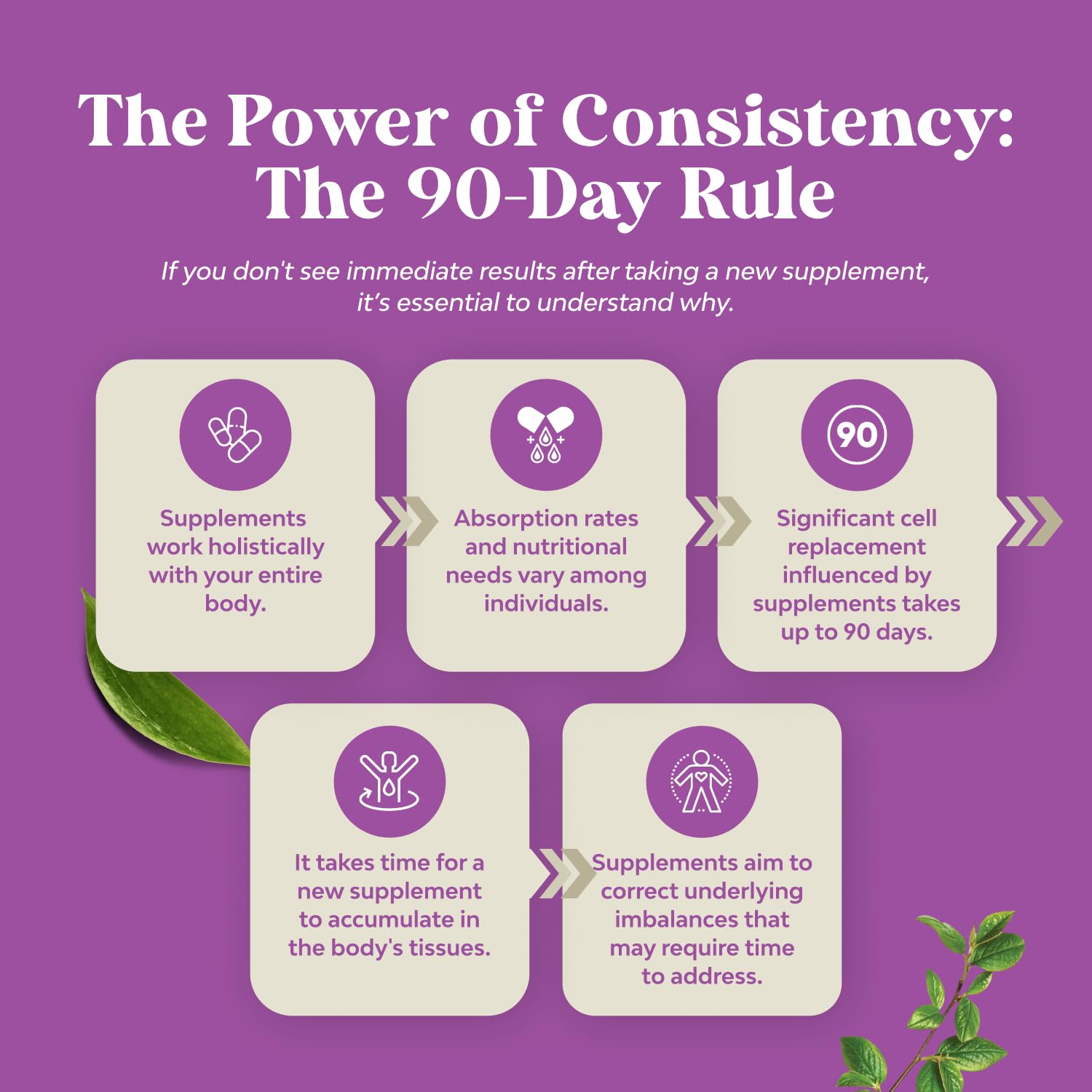 Complete Perimenopause Supplement for Women - Multibenefit Menopause Ease for Women with Maca Root Vitex Berry & Black Cohosh for Hot Flashes Night Sweats Hormone Balance and Mood Support (1 Month) - Medaid International