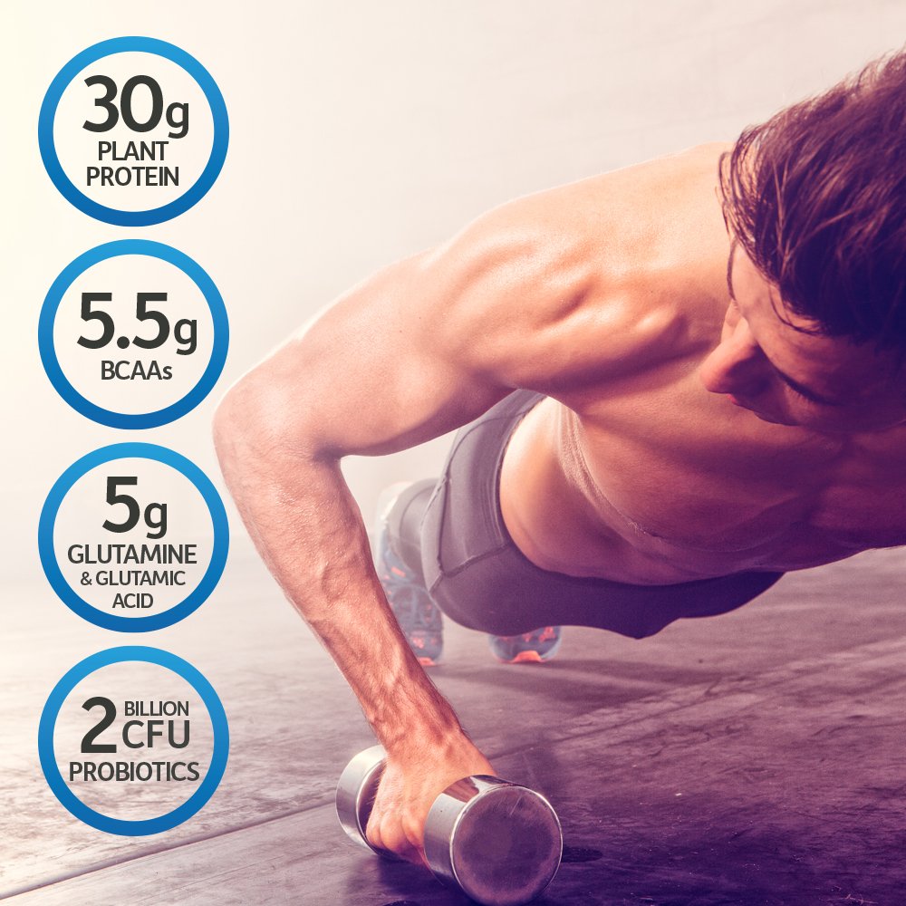 Garden of Life Organic Vegan Protein Powder with Probiotics, BCAAs, NSF Certified, Gluten Free & Sport, Non GMO, Sport Protein Powder, 19 Servings, Vanilla - Medaid International