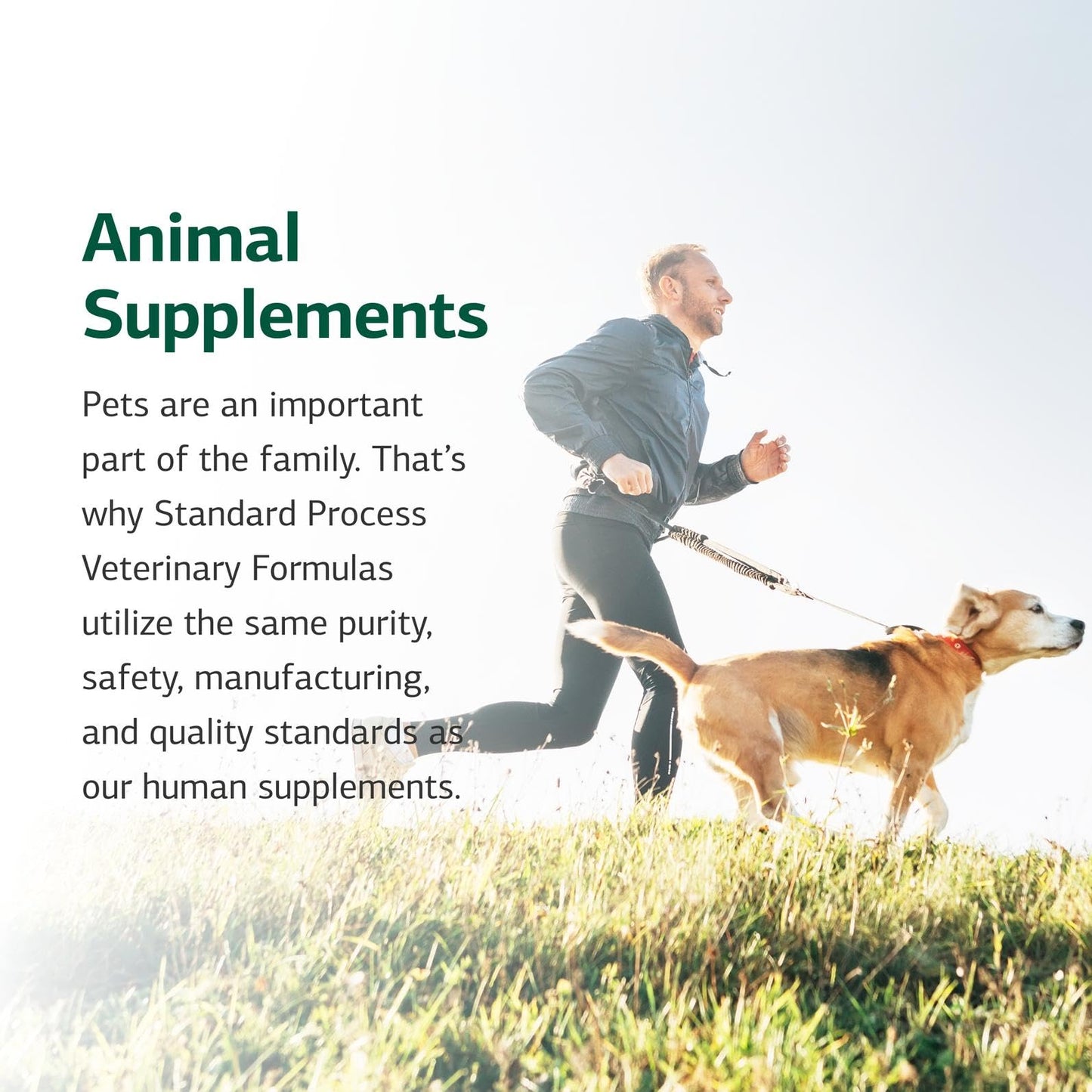 Standard Process Inc. Whole Body Multisystem Support Supplement for Canines - Nutritional Powder for Daily Health Maintenance - 25 g
