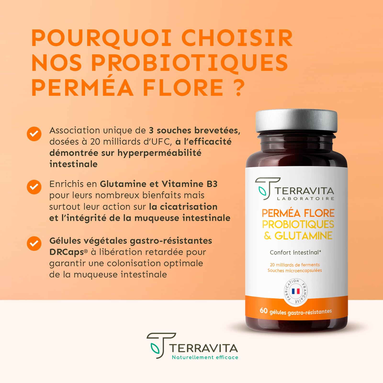 Permea Flore | PROBIOTIQUES + GLUTAMINE | Flore Intestinale et Cicatrisation de la Muqueuse | Idéal Contre la Perméabilité Intestinale | 60 Gélules Gastro-résistantes | Made in France | Terravita - Medaid International