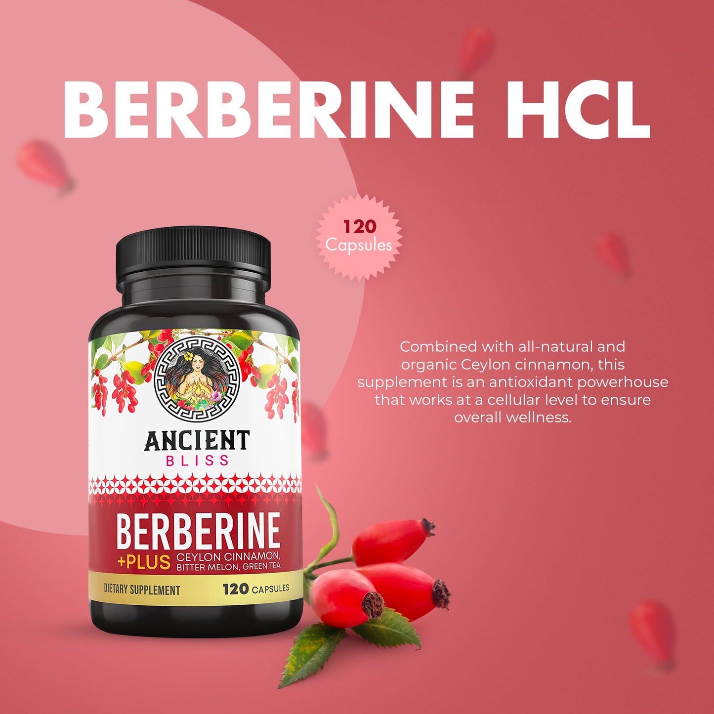 Ancient Bliss Berberine HCL 1200mg with Ceylon Cinnamon, Bitter Melon, and Green Tea Extract - 120 Capsules - Medaid International