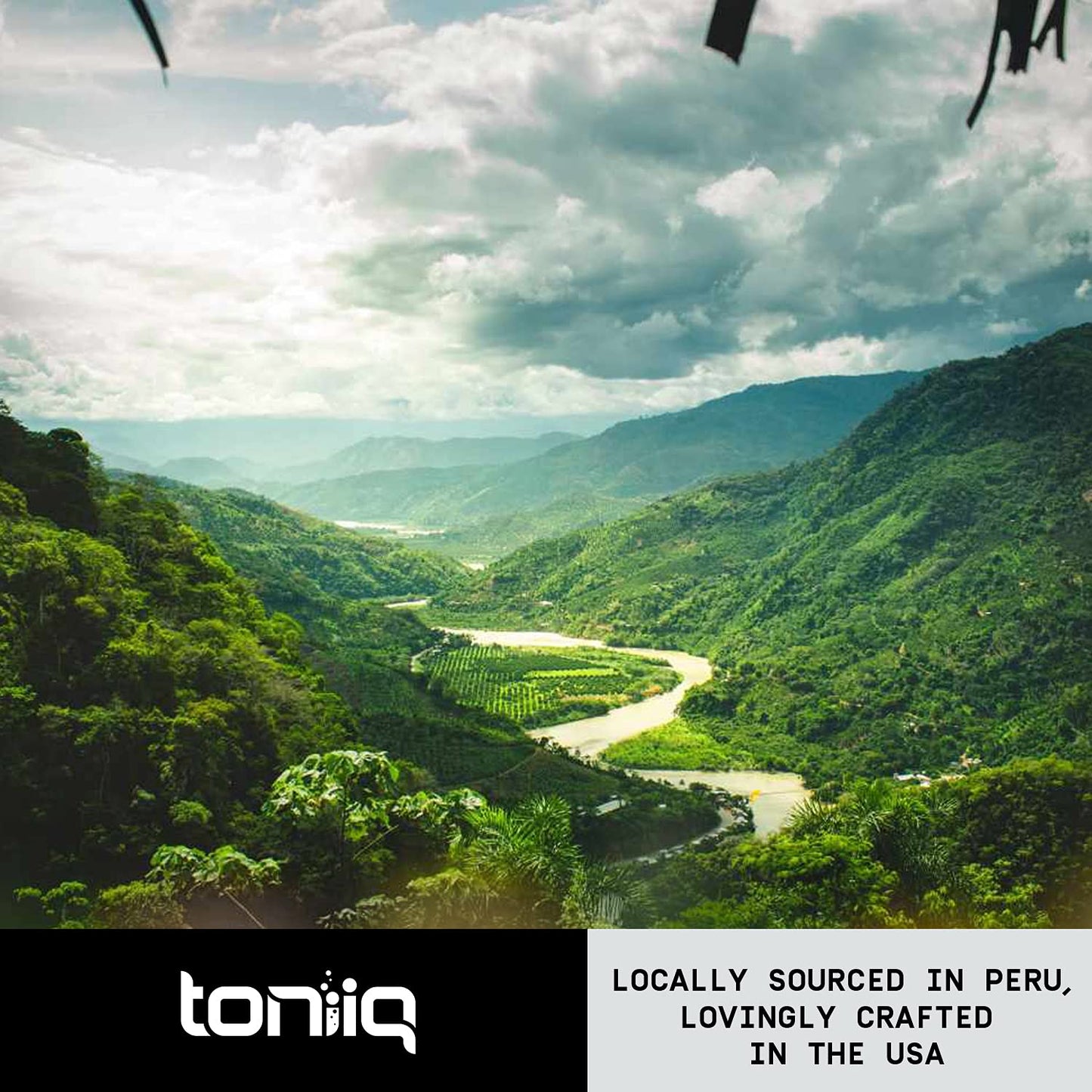 Maca Root - Ultra High Potency 20:1 Extract - Black, Red and Yellow Maca Complex - Single Origin, Wildcrafted & Highly Concentrated - Third-Party Lab Tested - 90 Capsules - Medaid International