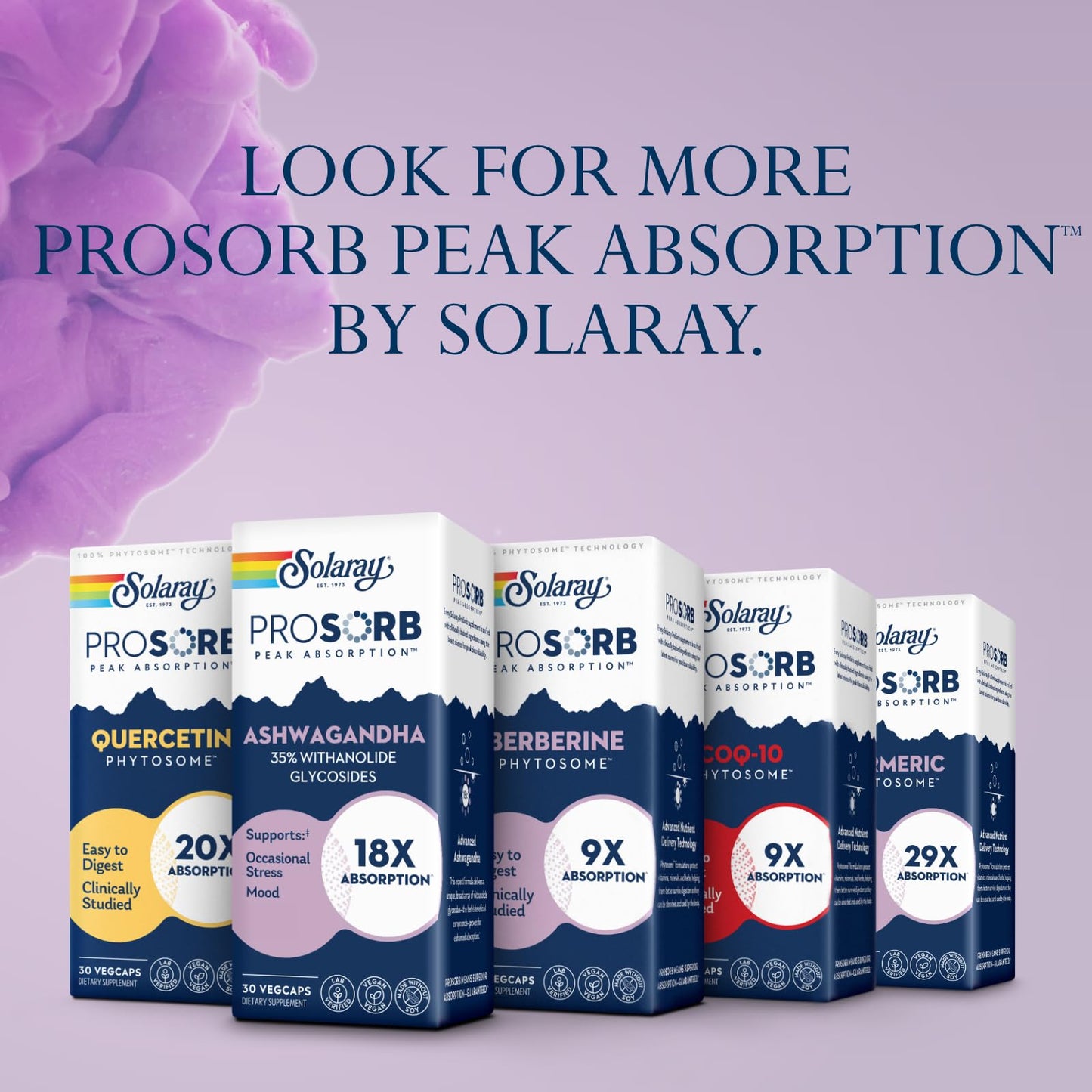 SOLARAY Ashwagandha Capsules 18X Absorption - Ashwagandha Root and Leaf Extract 240 mg - Occasional Stress Relief and Mood Support Supplement - Vegan, 60-Day Guarantee - 30 Servings, 30 VegCaps - Medaid International