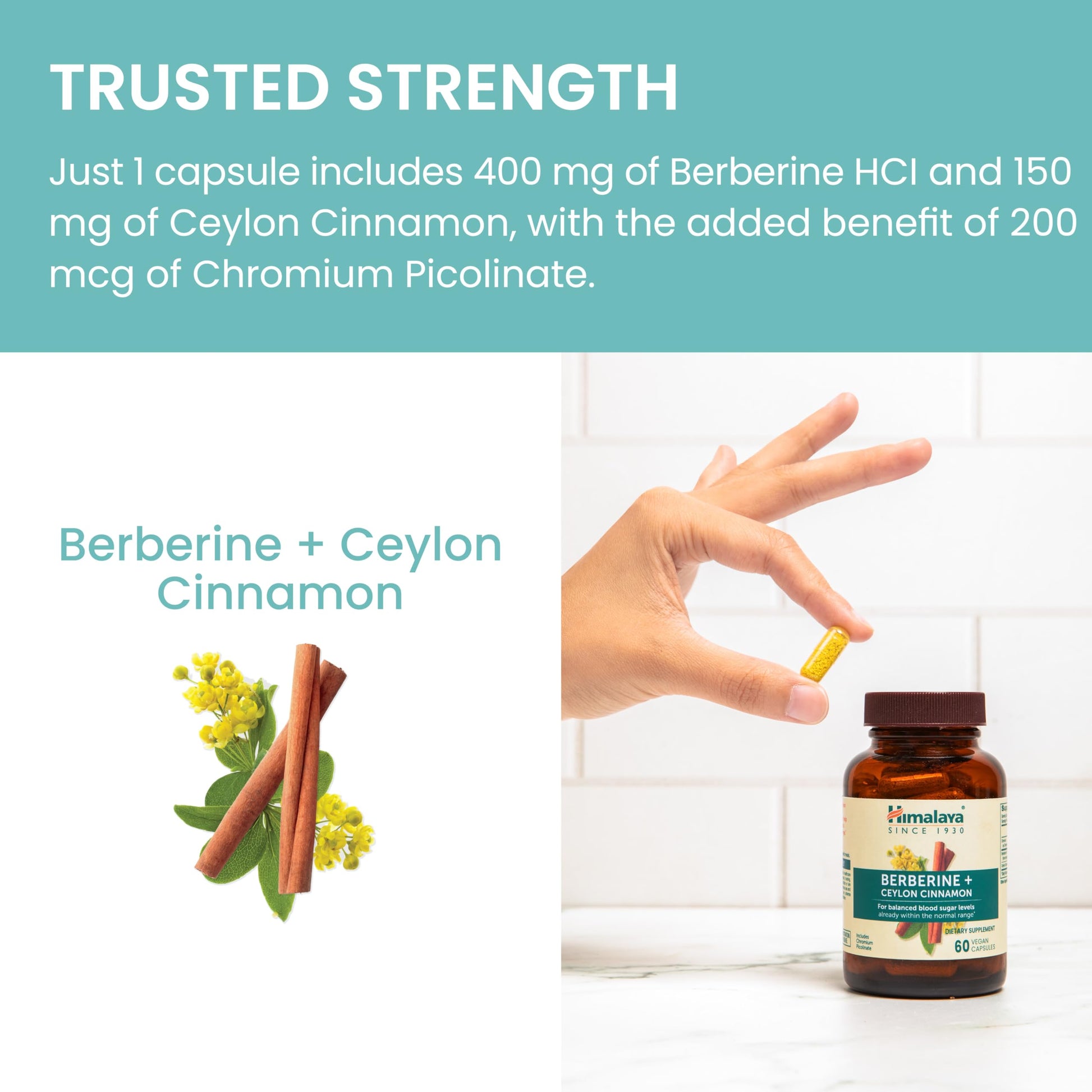 Himalaya Berberine with Ceylon Cinnamon - Herbal Supplement for Supporting Normal Metabolism, Immune, and Digestive Health - Vegan, Gluten Free, 60 Vegetarian Capsules - Medaid International