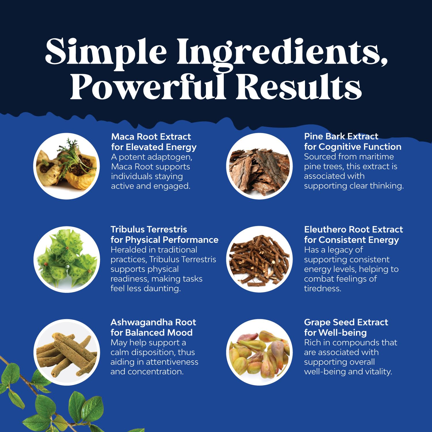 Bundle of Horny Goat Weed Extract Complex for Men and Women Enhanced Energy and Stamina and Black Maca Root Capsules for Men - Invigorating Drive Mood & Energy Booster for Men - Medaid International