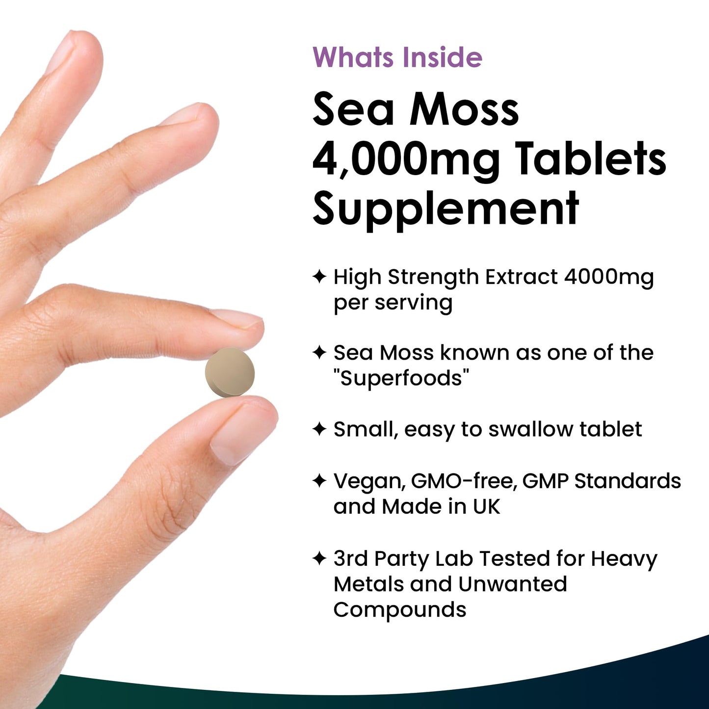 Extract High Strength 2000mg - Sea Moss Supplement 120 Tablets (not sea Moss Capsule) High Potency - UK Made - Vegan - Non GMO - Medaid International
