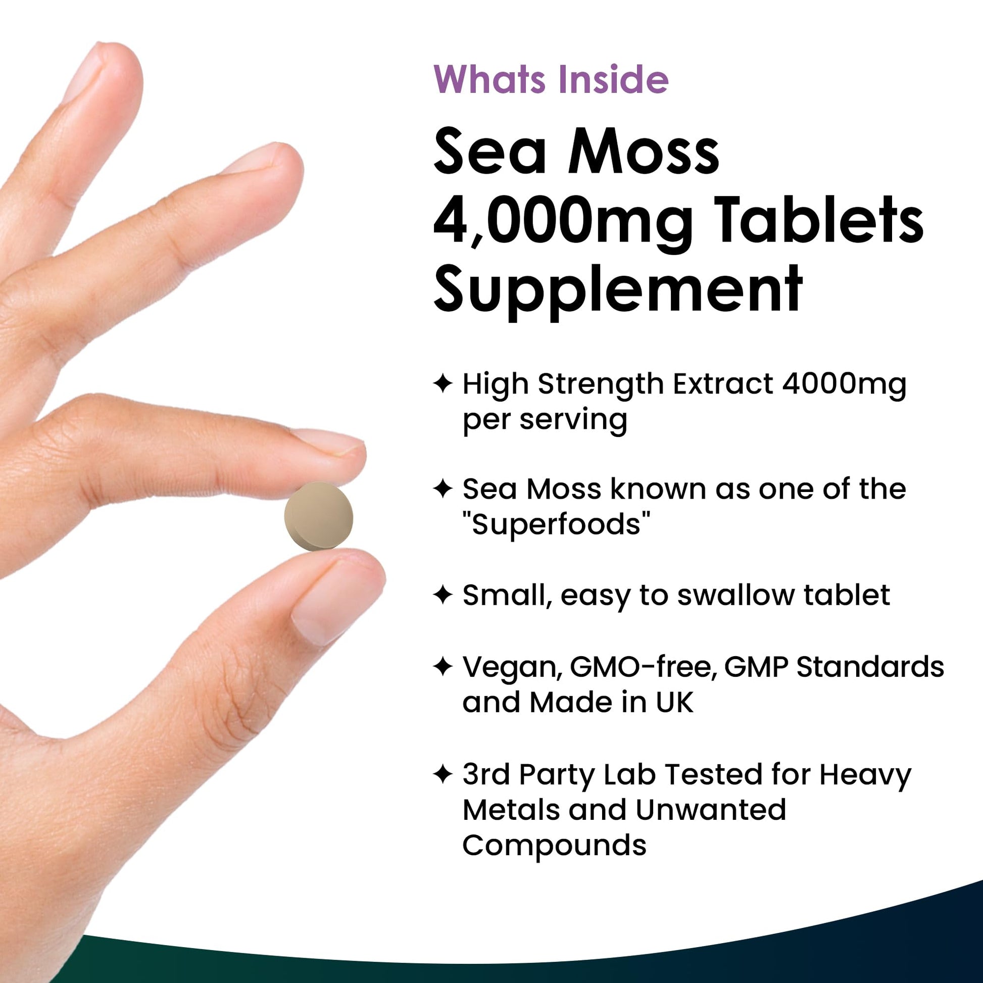 Extract High Strength 2000mg - Sea Moss Supplement 120 Tablets (not sea Moss Capsule) High Potency - UK Made - Vegan - Non GMO - Medaid International