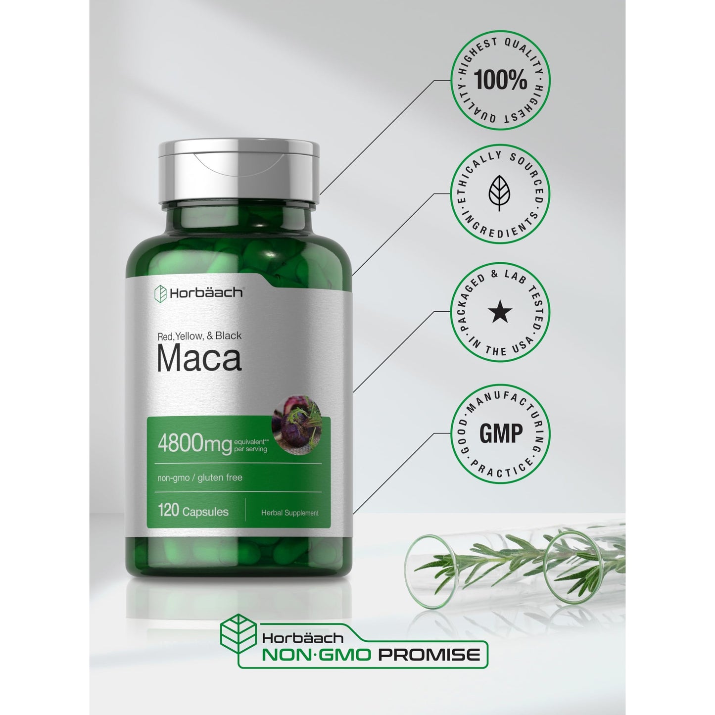 Horbäach Maca Root Capsules for Men and Women | 120 Pills | High Potency Extract | Non-GMO and Gluten Free Formula - Medaid International