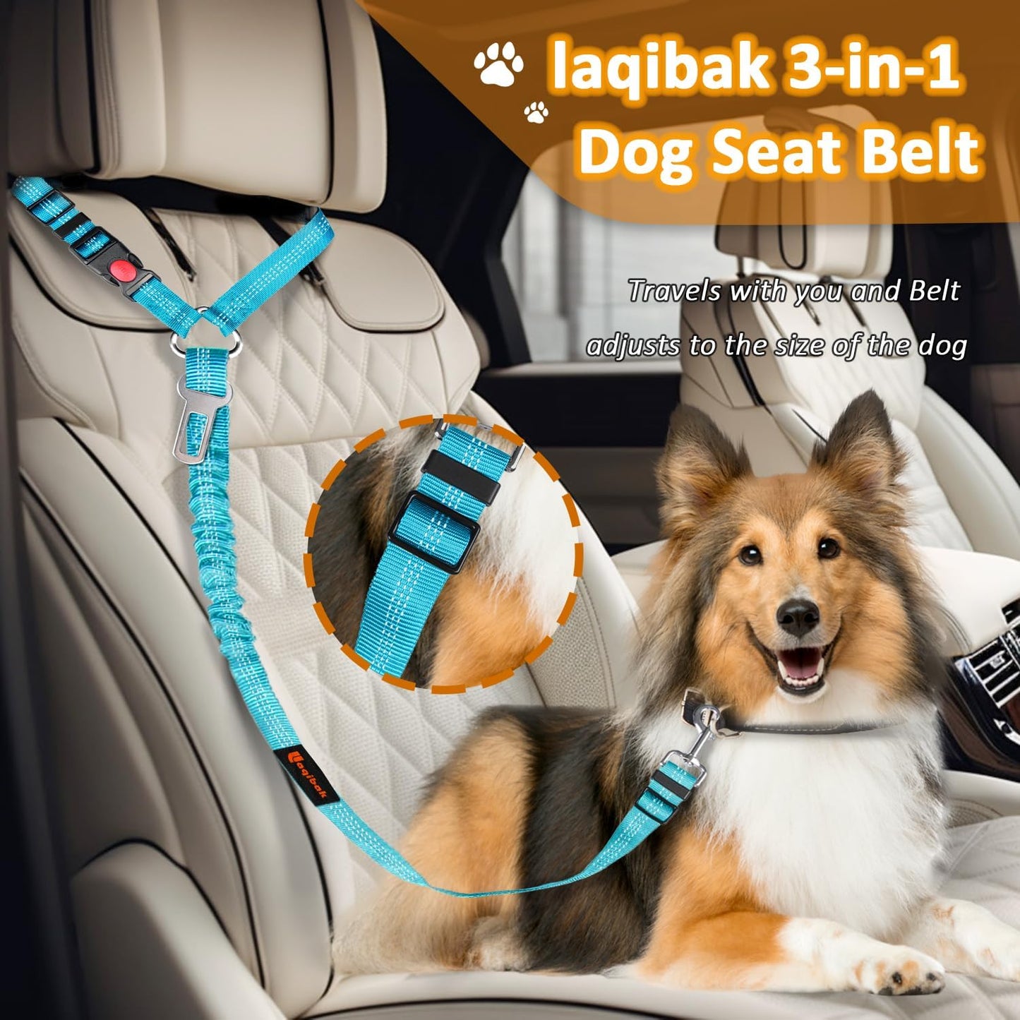 Dog Seat Belt Harness - Medaid International