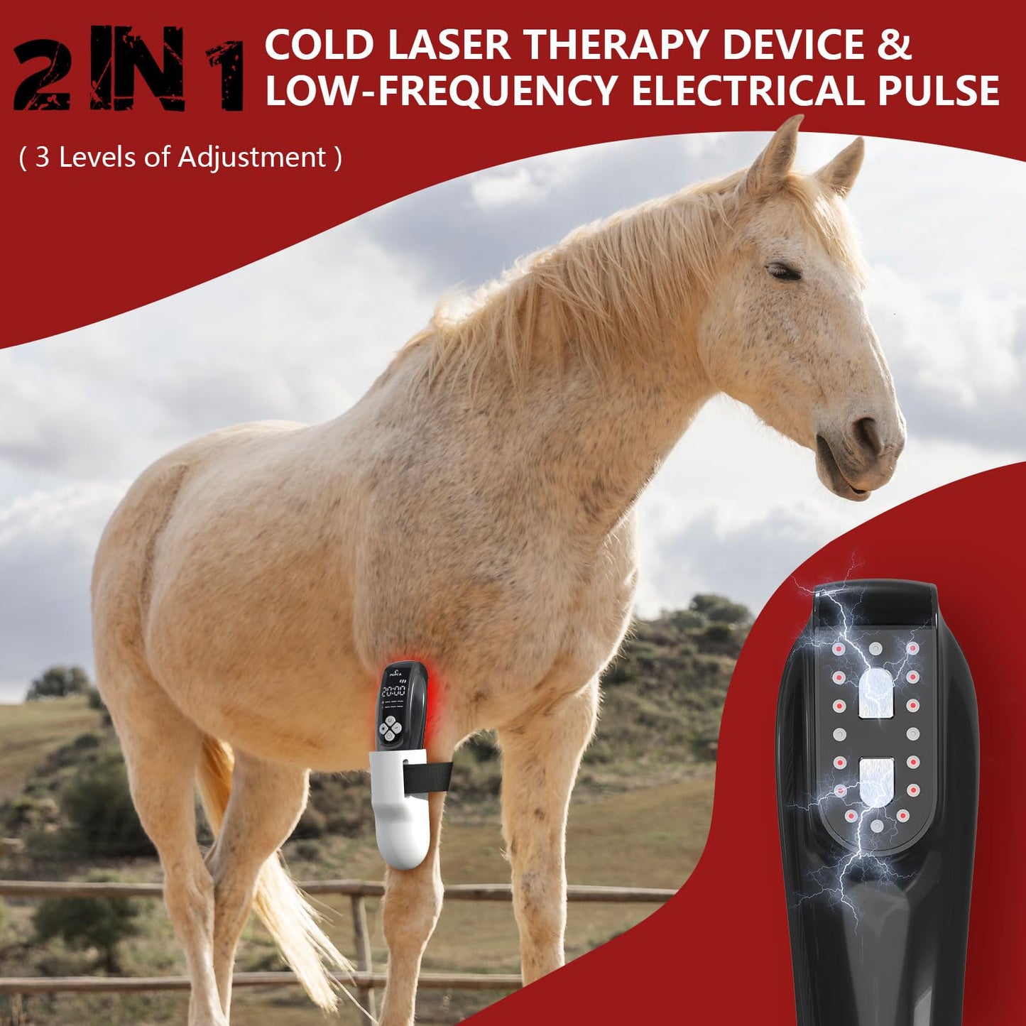 Cold Laser Therapy Device for Horse, Portable Red Light Therapy with 4pcs 808nm and 12pcs 650nm, Near Infrared Laser for Arthritis Pain Relief- Electrical Stimulation for Tendon, and Ligament Recover - Medaid International